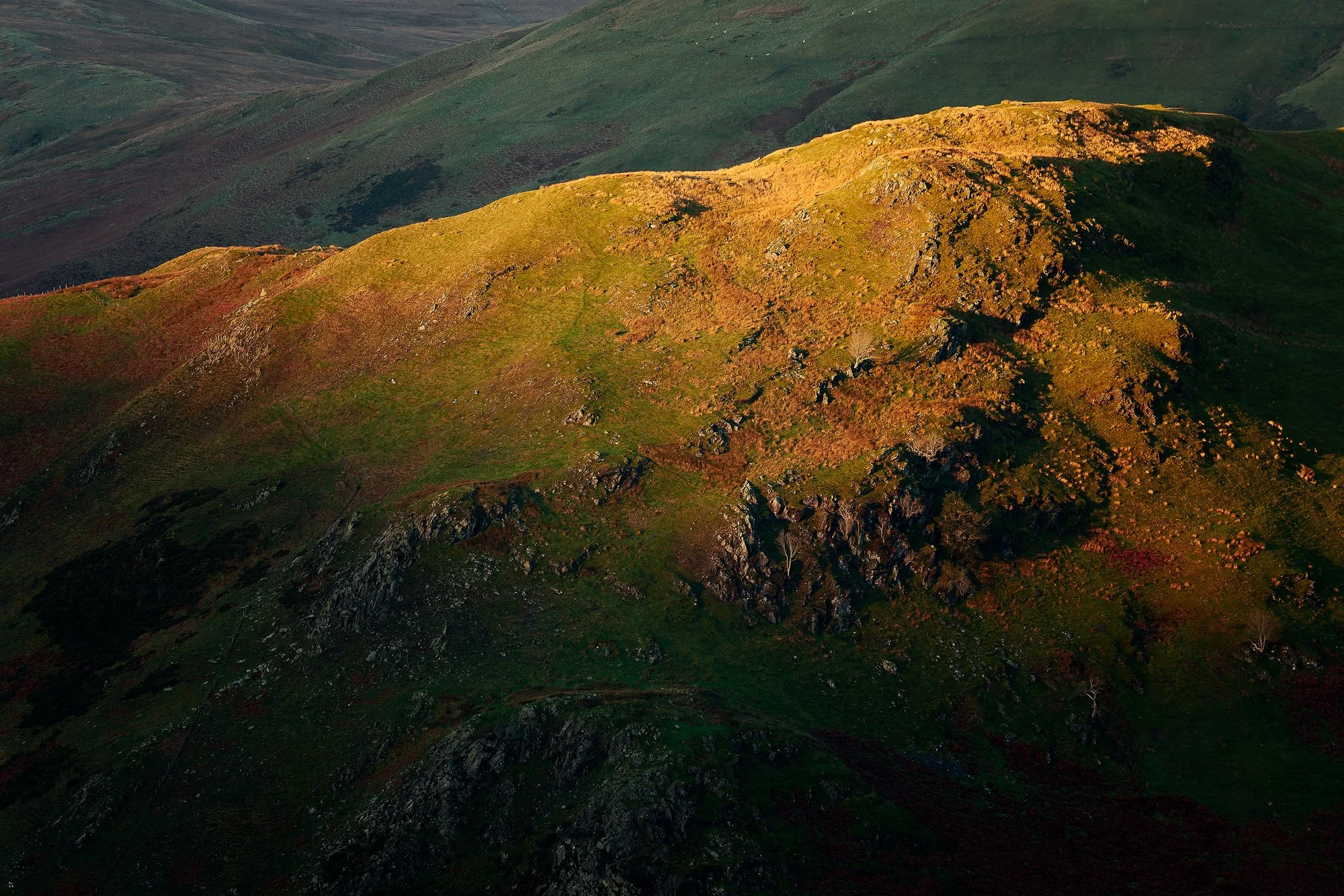 Scale Knott.jpg
