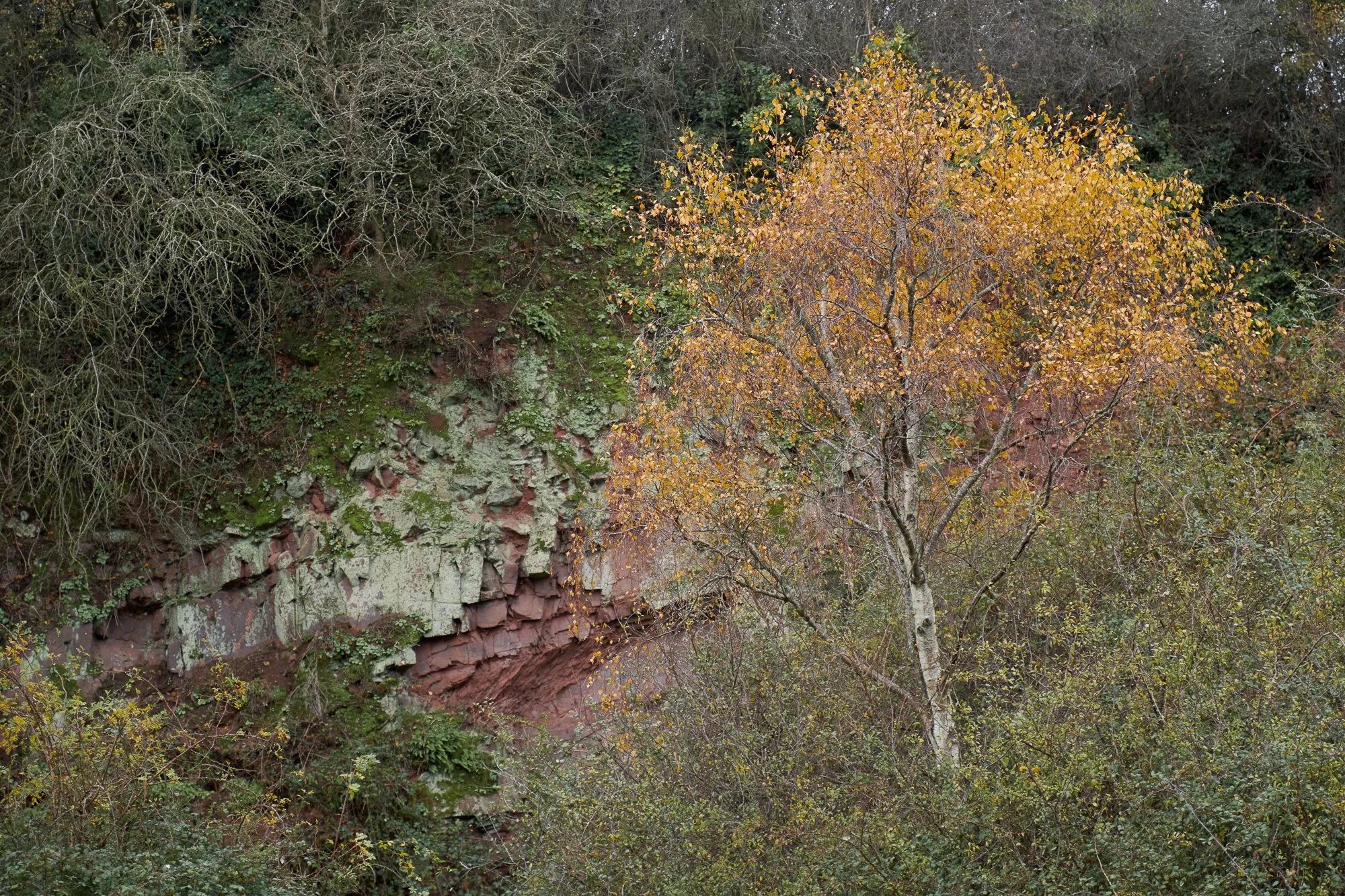 Green, Grey and Gold.jpg