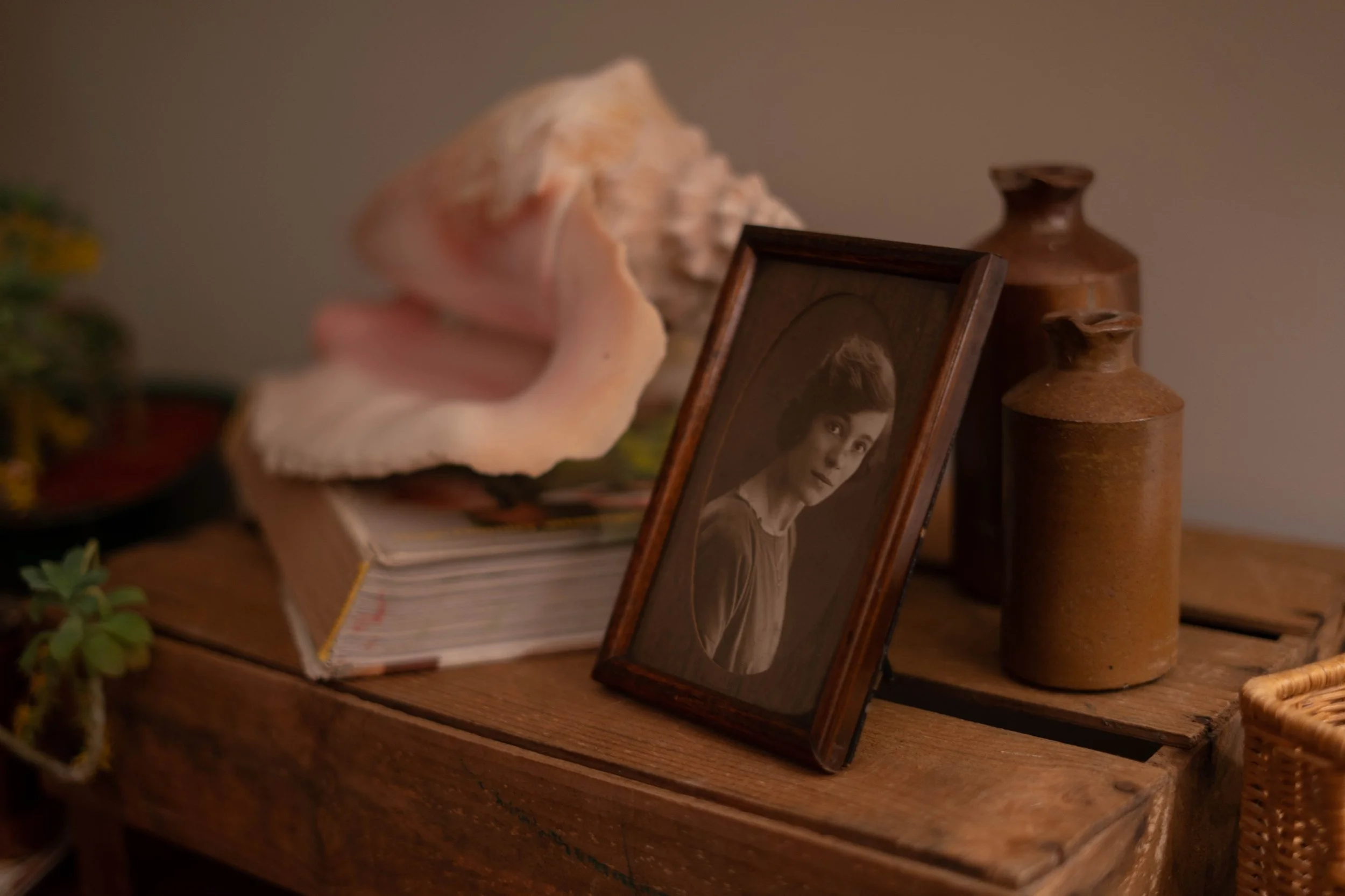 Copy of DSC05270.jpg