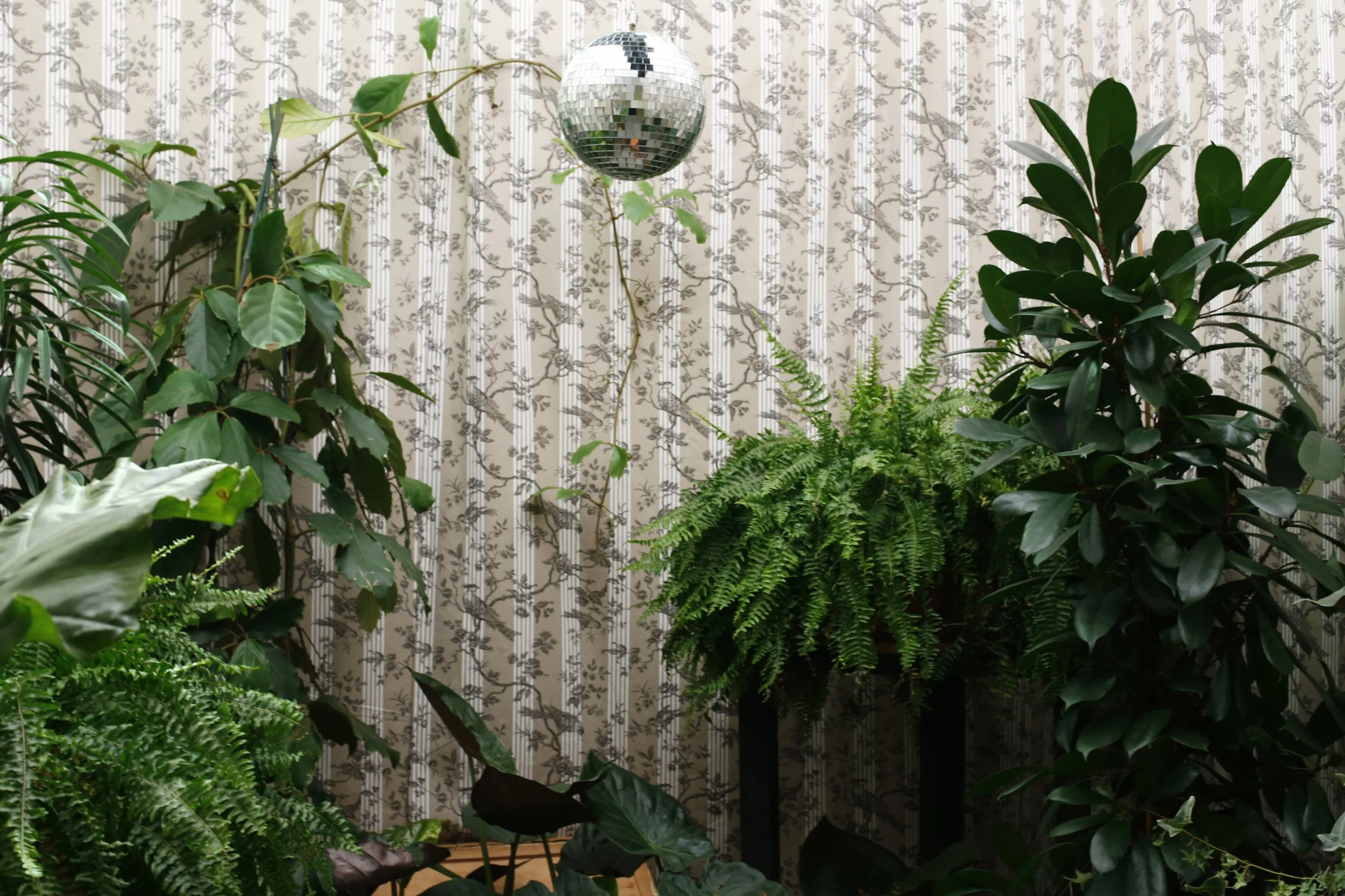  photo by Camille Malissen 5.JPG