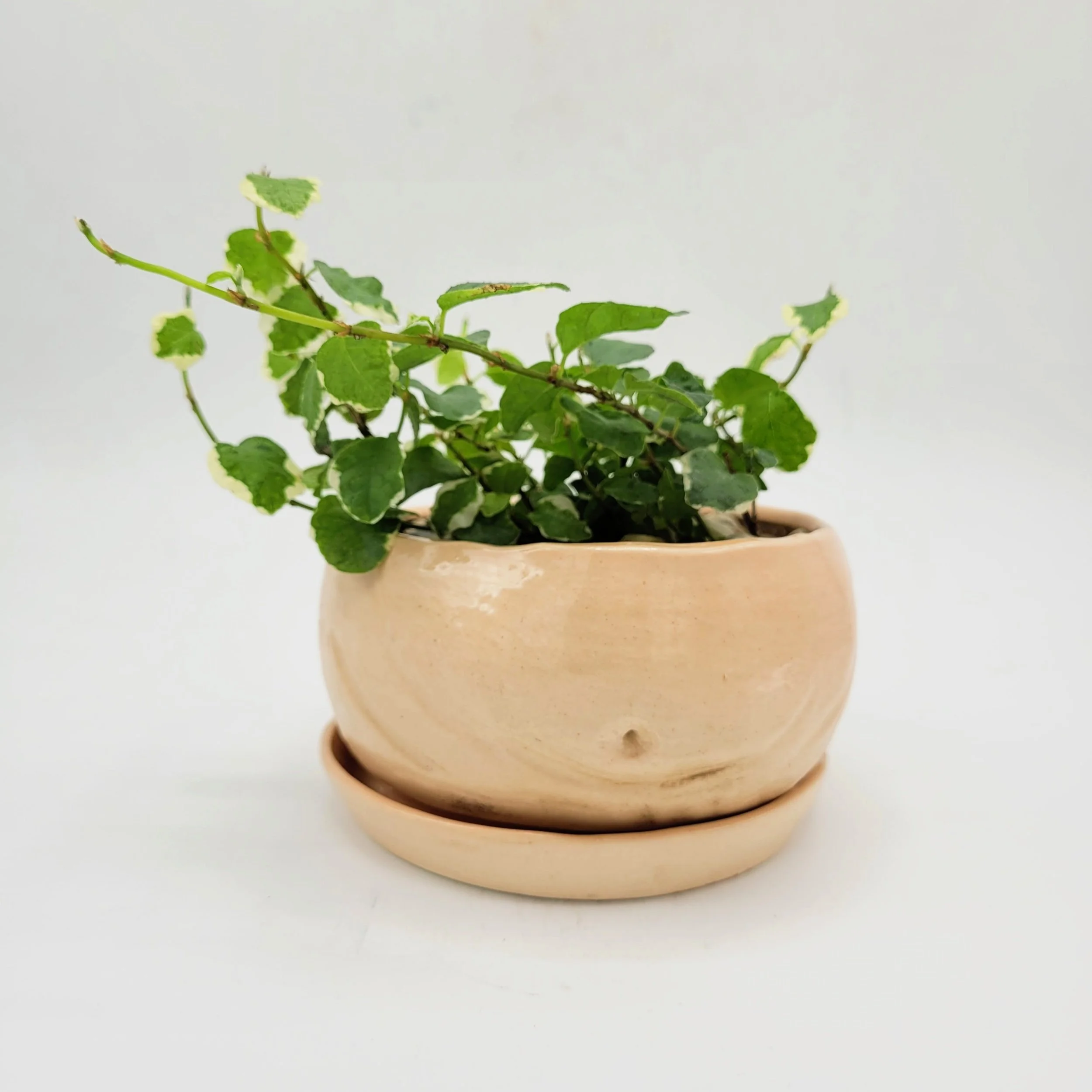 bum/tum, 2024 series (front)