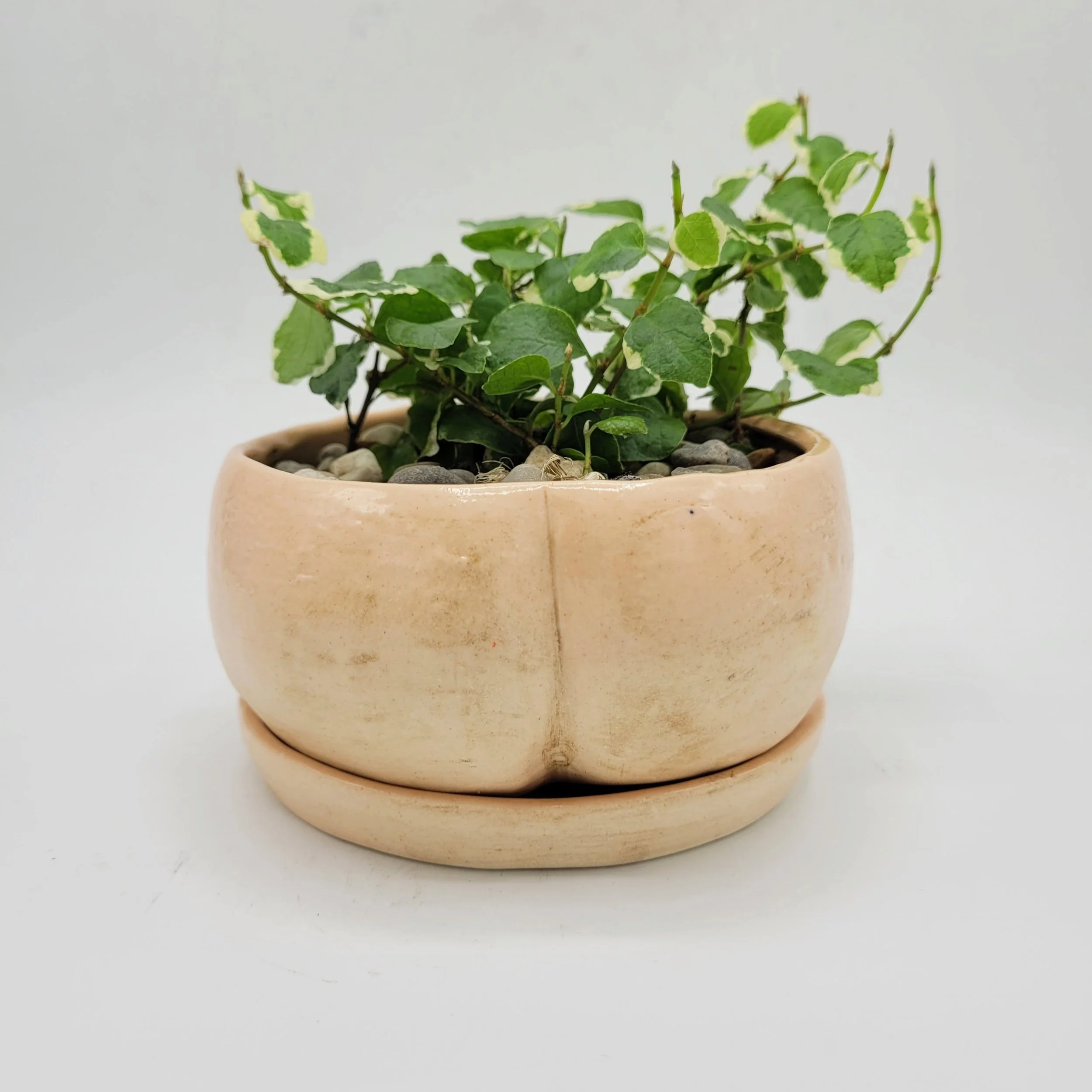 bum/tum, 2024 series (back)