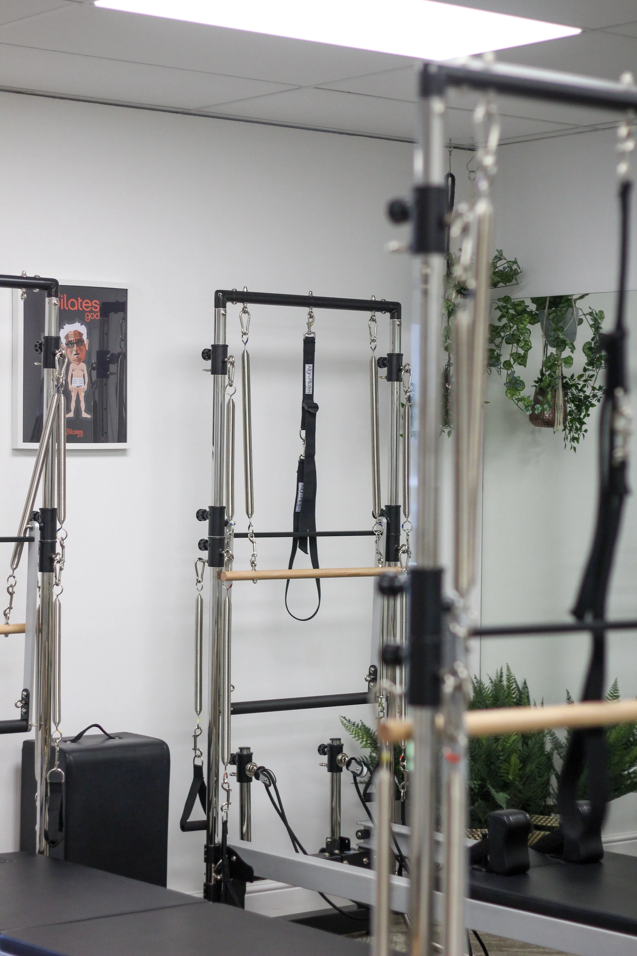 Pilates reformer equipment with metal frames, straps, and springs in a fitness studio with white walls and plants.