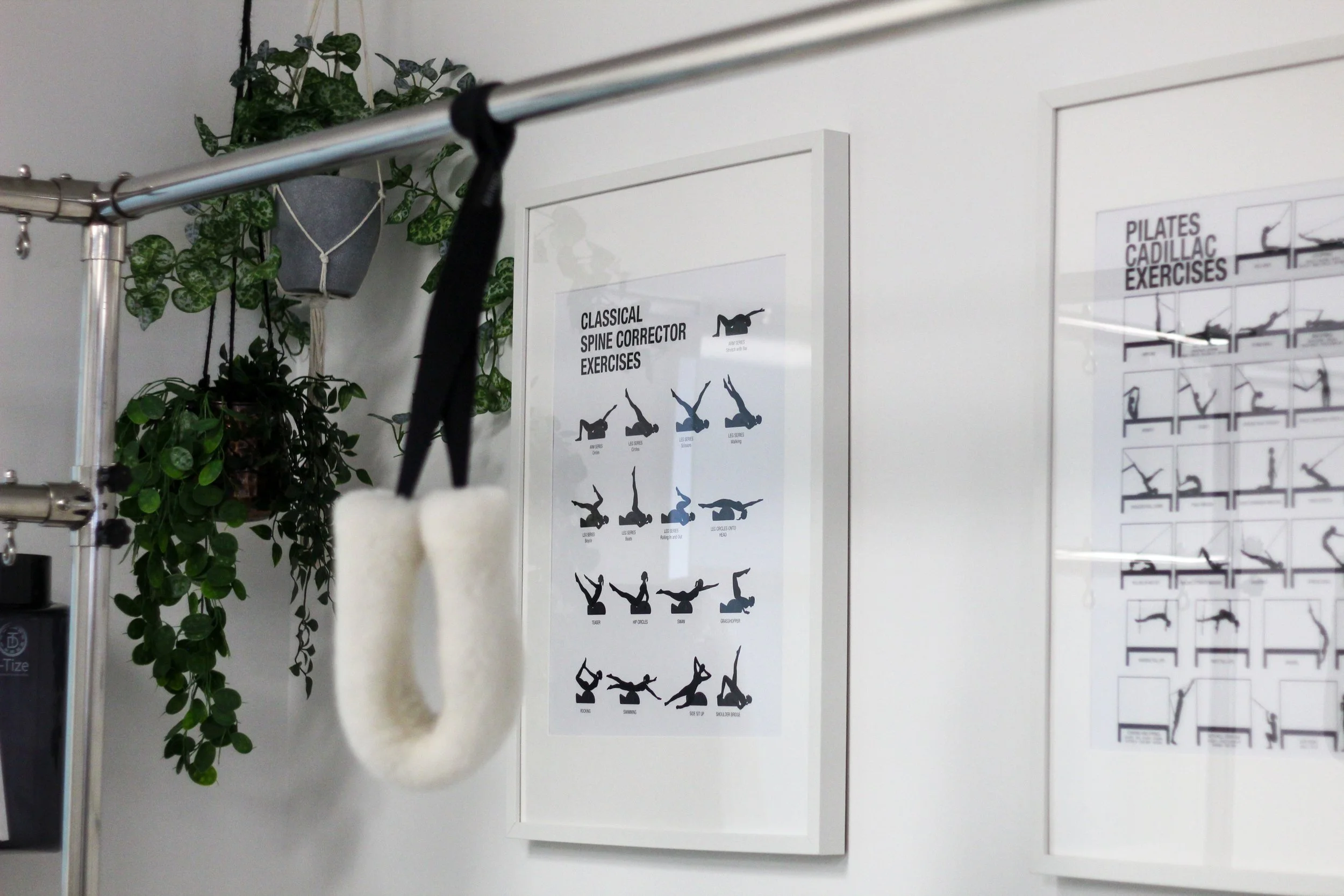 A wall with two posters displaying different exercise routines; a plant hanging in a grey pot, a pole with a black strap, and a white fuzzy object in the foreground.