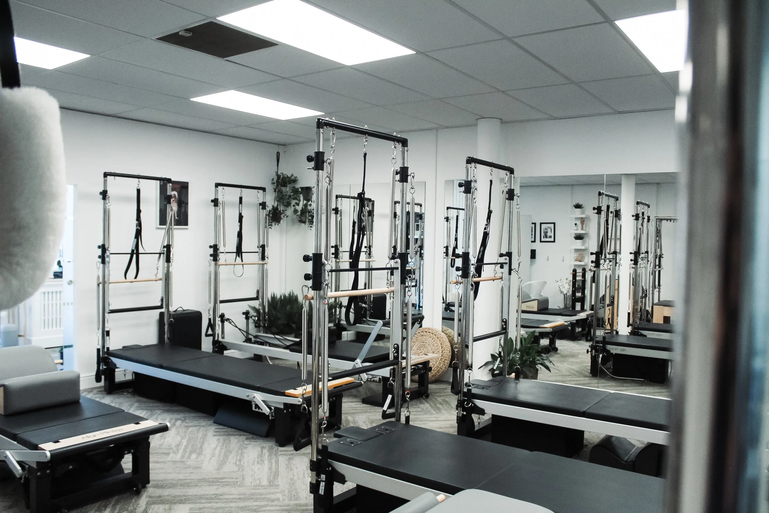A Pilates studio with reformer machines arranged in rows, white walls, framed pictures, indoor plants, and a gray carpeted floor.
