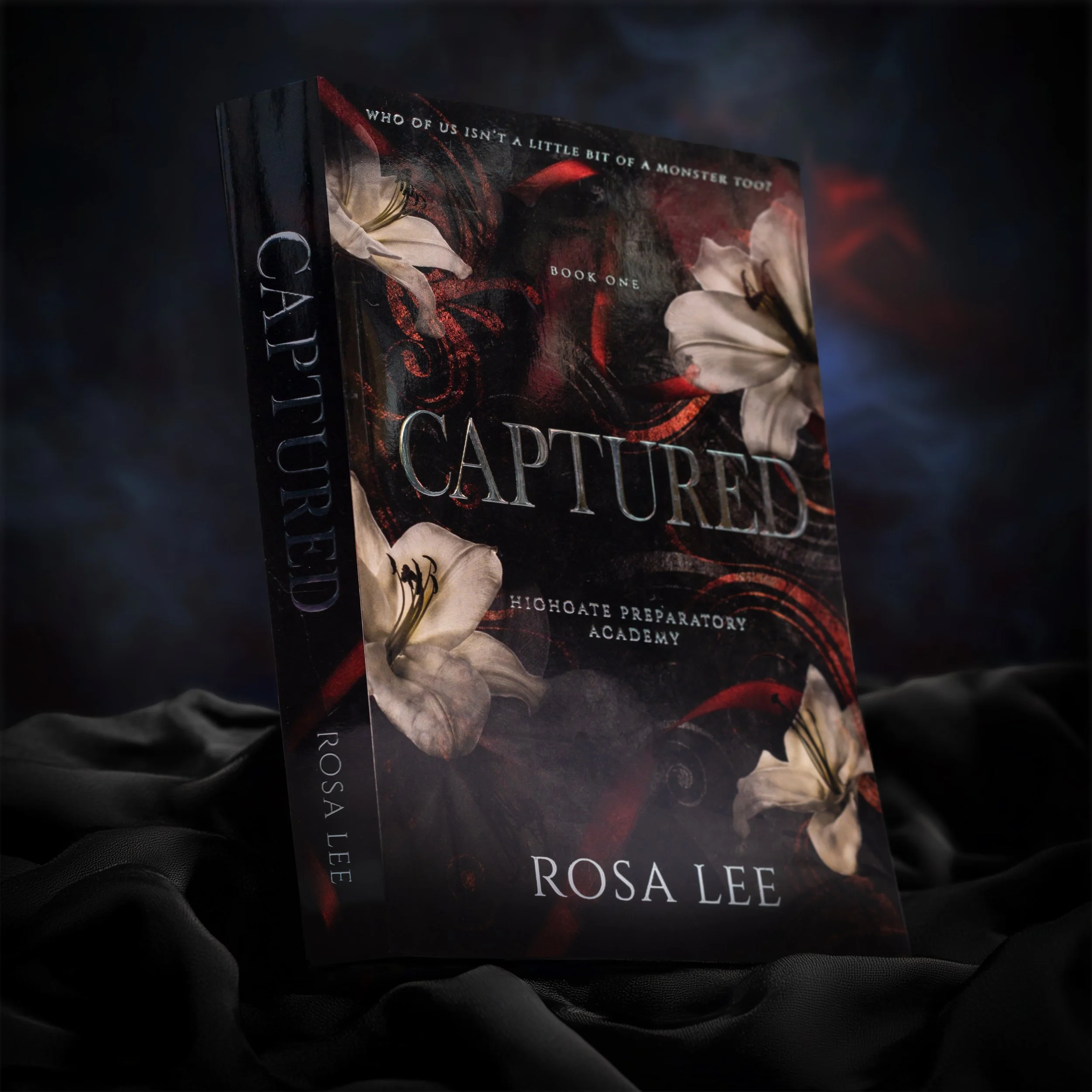 Books — Rosa Lee Author