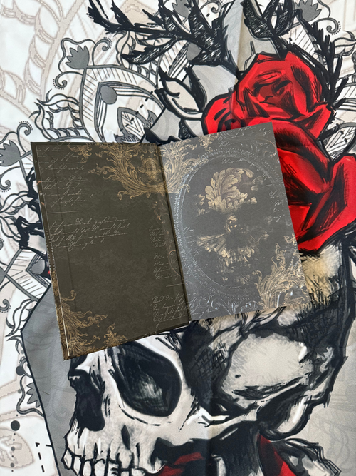 Books — Rosa Lee Author