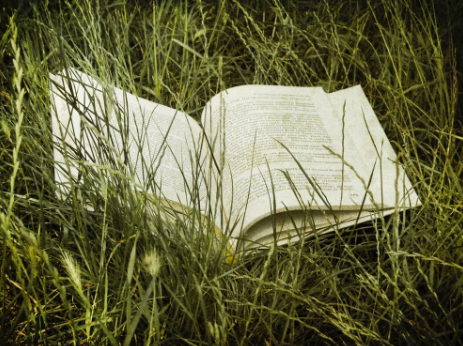 The big summer book show: What to read under the sun