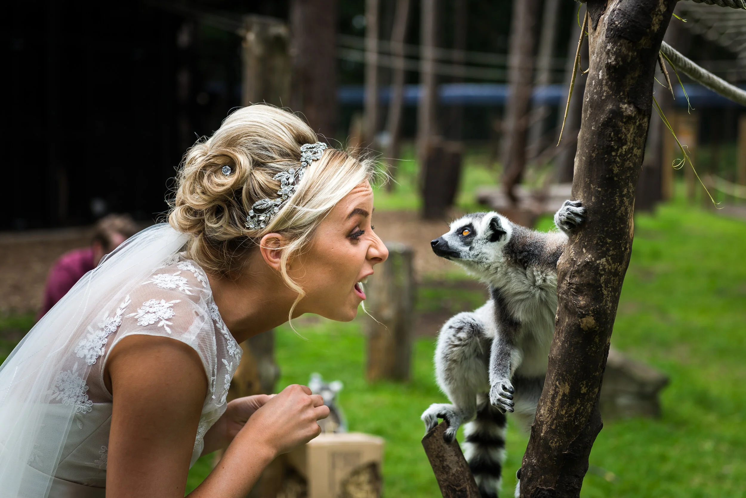 Yorkshire Wildlife Park wedding, bride with lemur