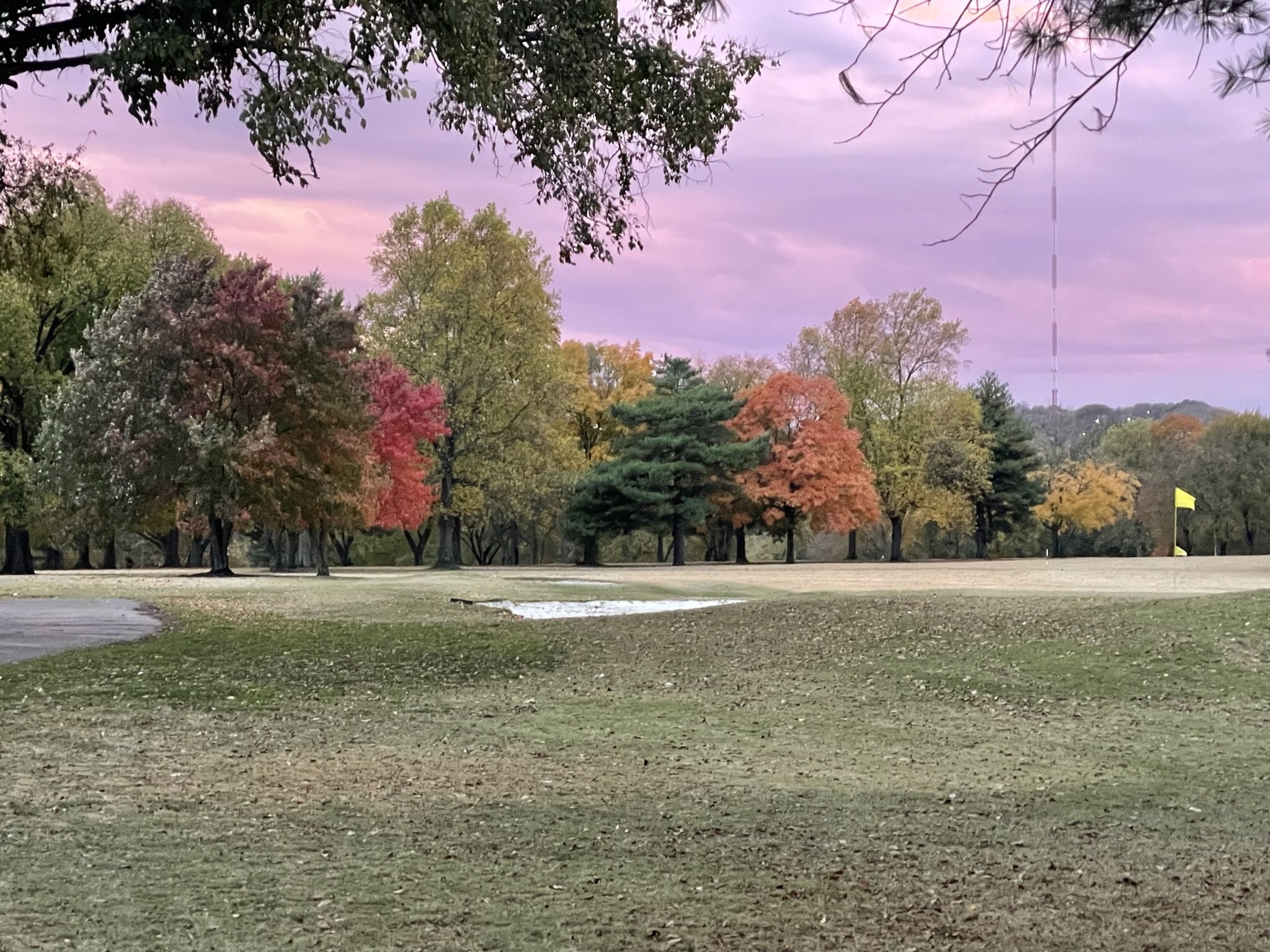 Beautiful Neighborhood Places — Sylvan Park Neighborhood Association