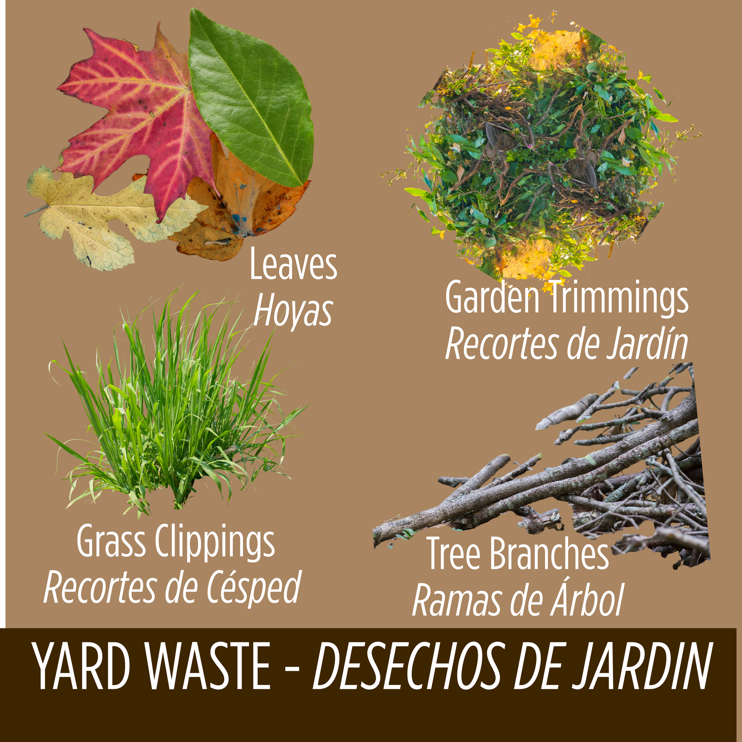YARD WASTE - DESECHOS DE JARDIN (1).png