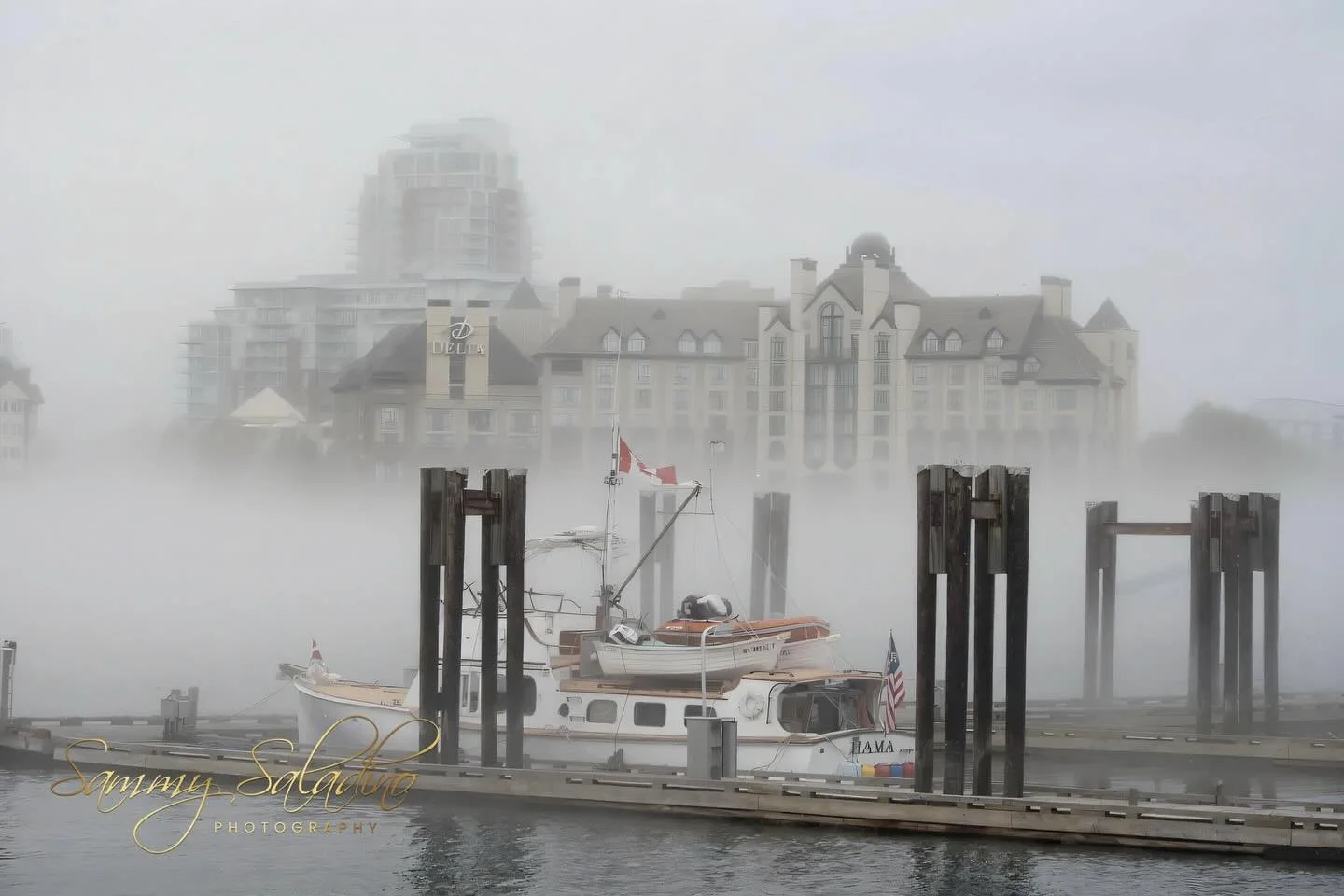 Foggy morning on the waterfront of the Victoria Islands, Canada. #photography #photographer #atlantsphotographer #naturephotography #foggy #waterfront #landscapesphotography #boat