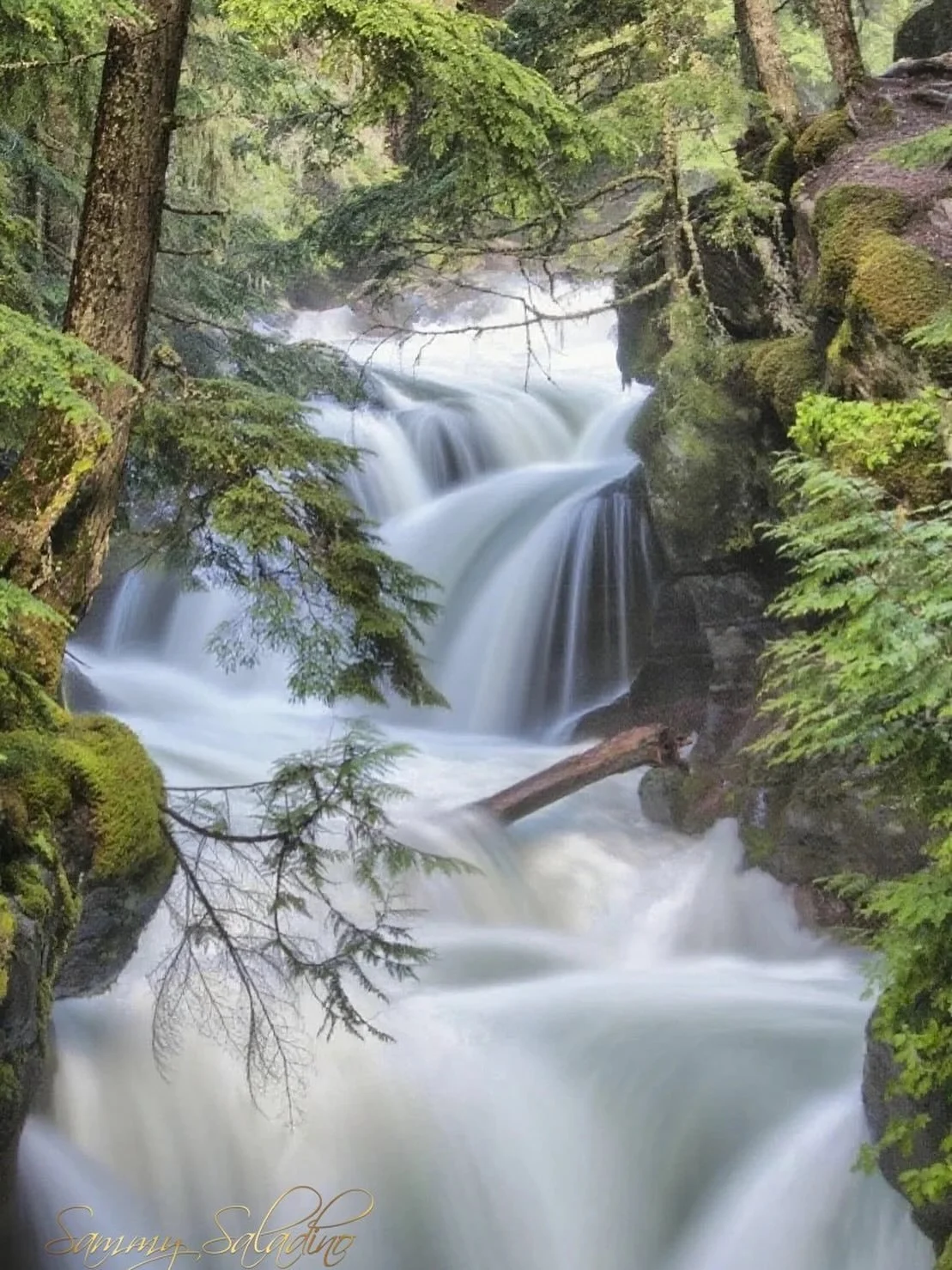 Where the forest breathes and the water sings. The river carves its way through the ancient stone, a timeless dance of light, movement, and life.
#waterfallphotography #naturegram #earthfocus #splendid_shotz #longexposureshots #travelphotography #ear