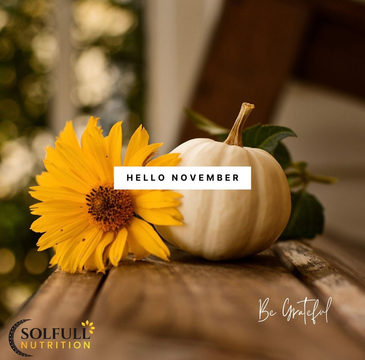 Hello November

New month, New dreams, Fresh start!

#hellonovember  #newmonth #newthings #grateful