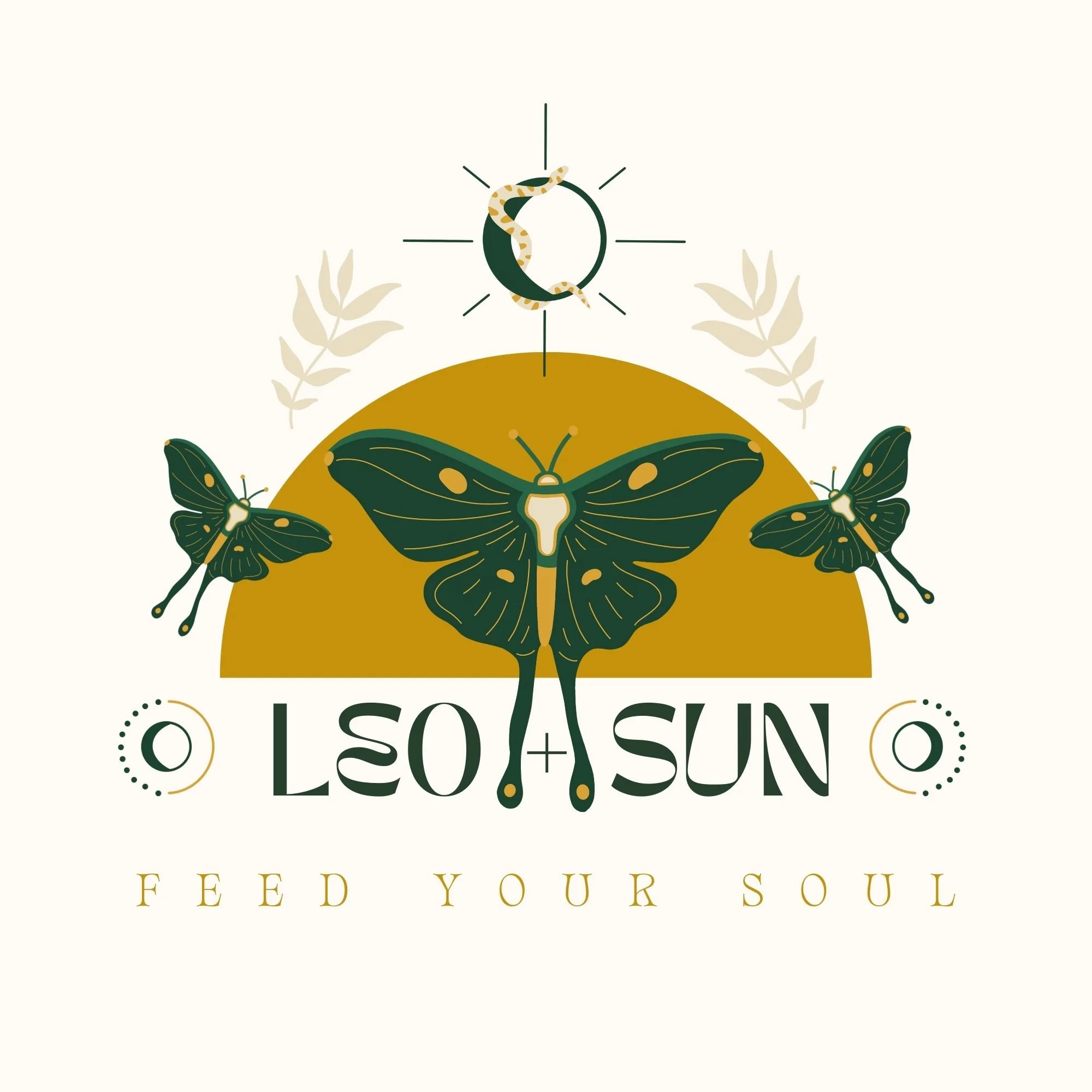 Leo &amp; Sun | an Illustration focused Rebrand