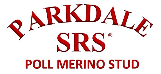 Parkdale SRS® Merino Stud