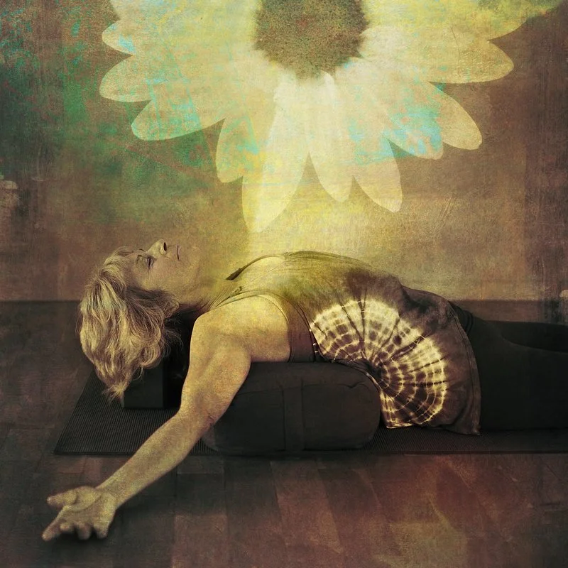 restorative backbend daisy dreamstime_s_149124142.jpg