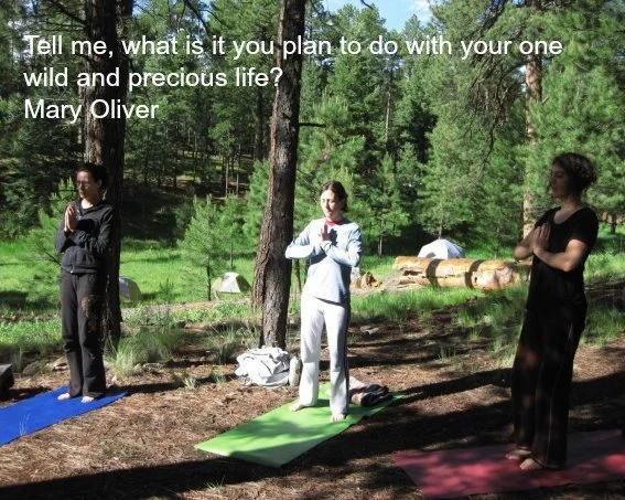 jemez yoga class wild and precious.jpg
