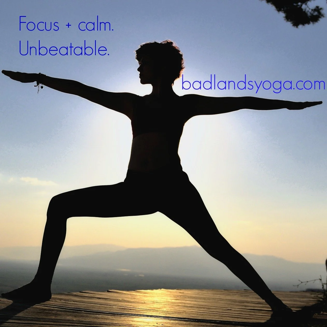 focus + calm Warrior II dreamstime_xxl_32549852.jpg