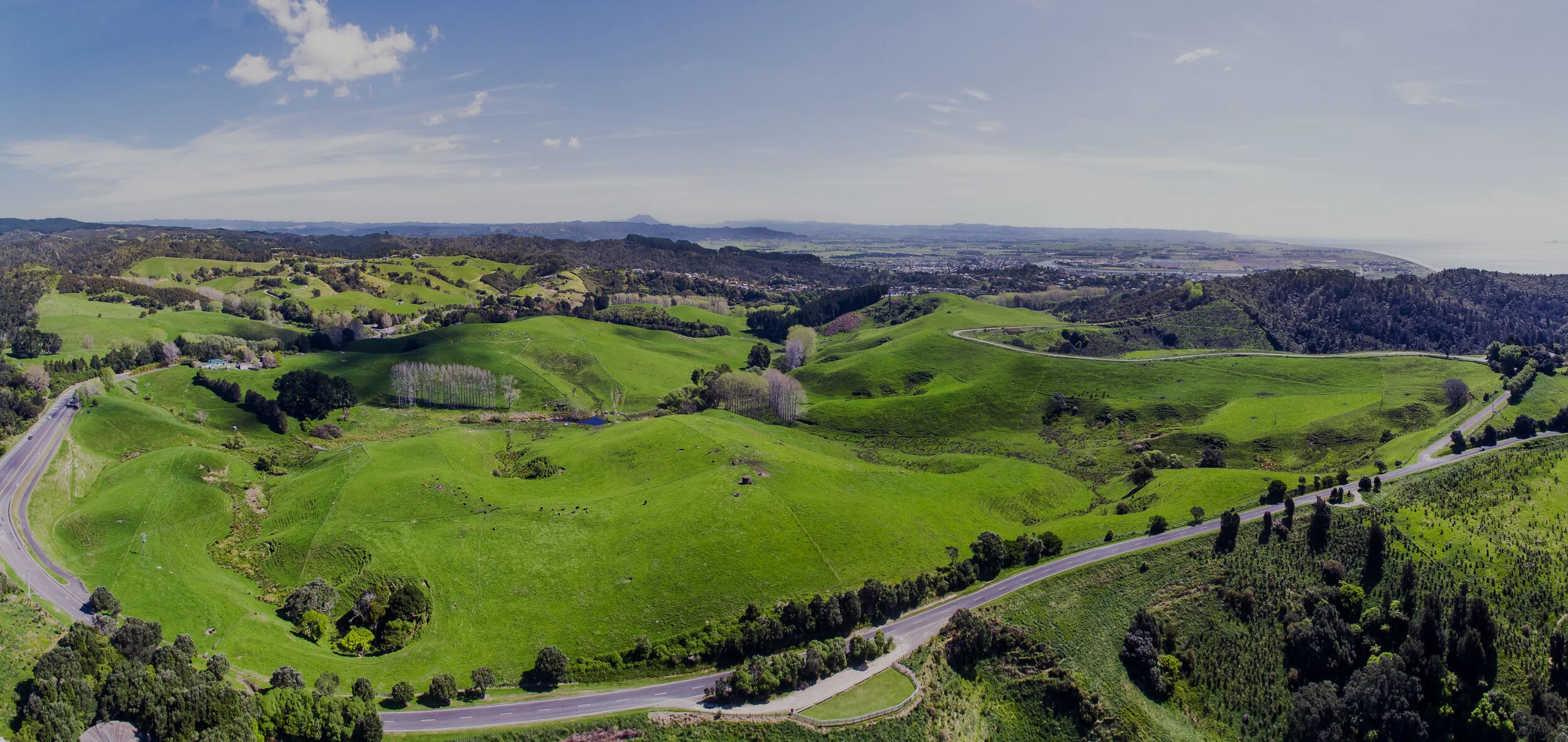 farmfrondrone2 - overlay.jpg