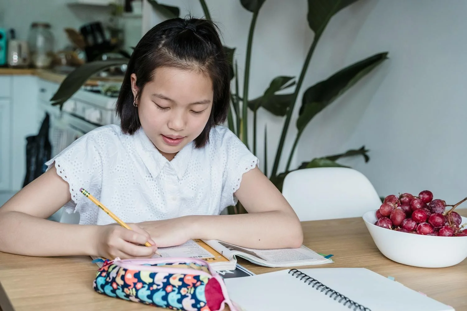 Student studying algebra with notebook and pencil