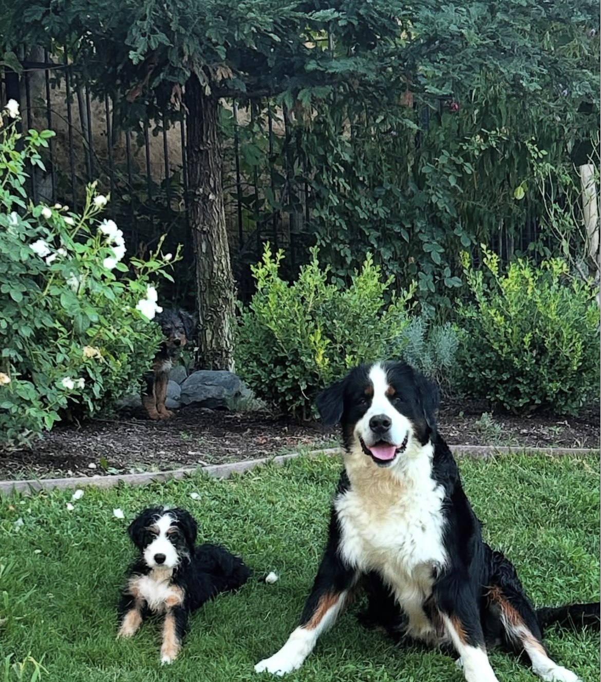 Screenshot 2026-02-10 at 2.53.59 PM.png