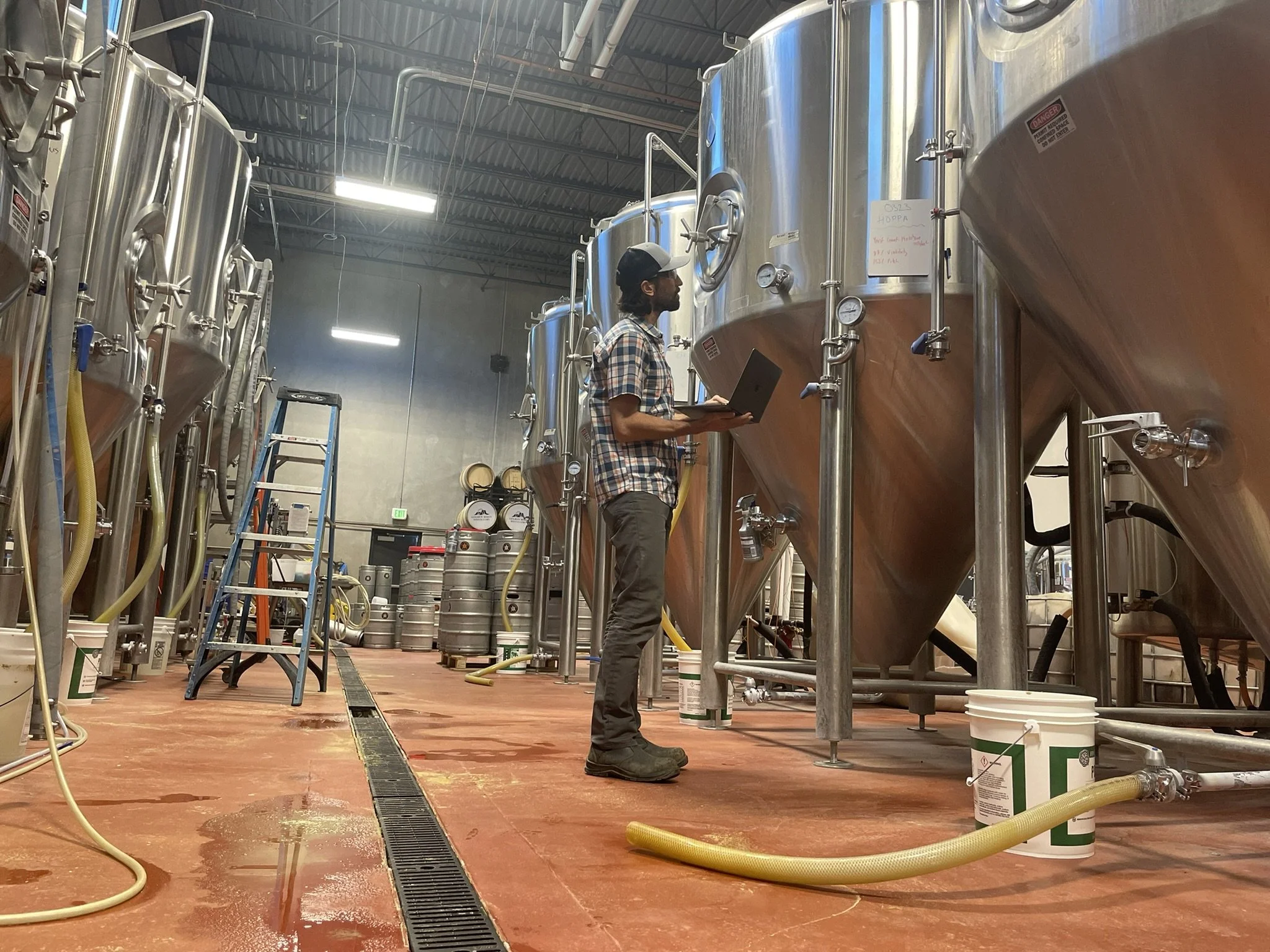 6 Steps to Making your Brewery The Most Sustainable in Your Area