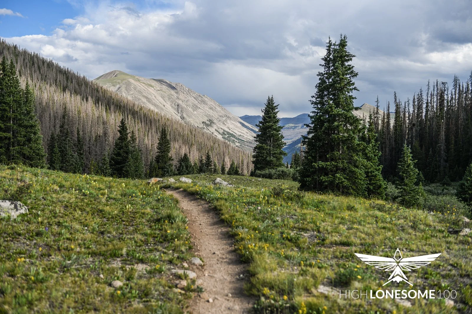 Five Initiatives to Reduce Your Energy Spend!