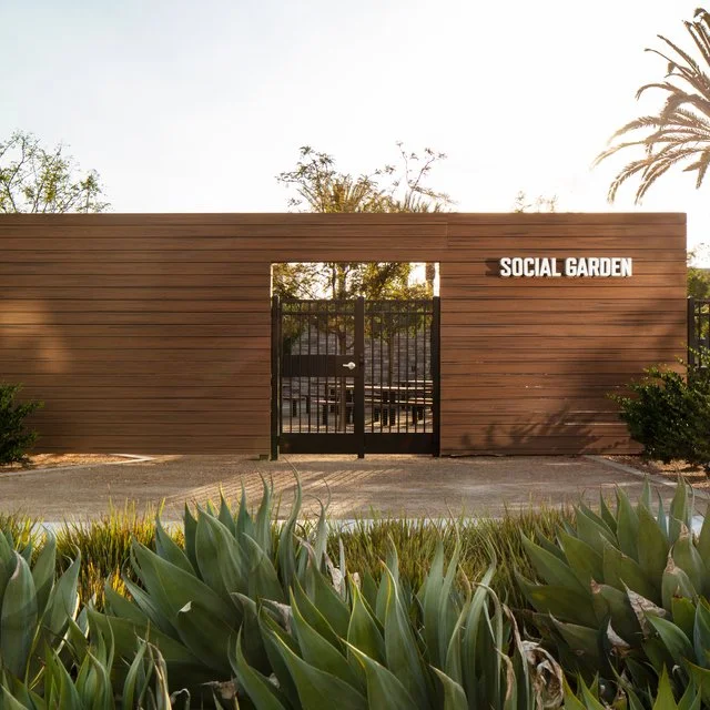 Social Garden.jpg