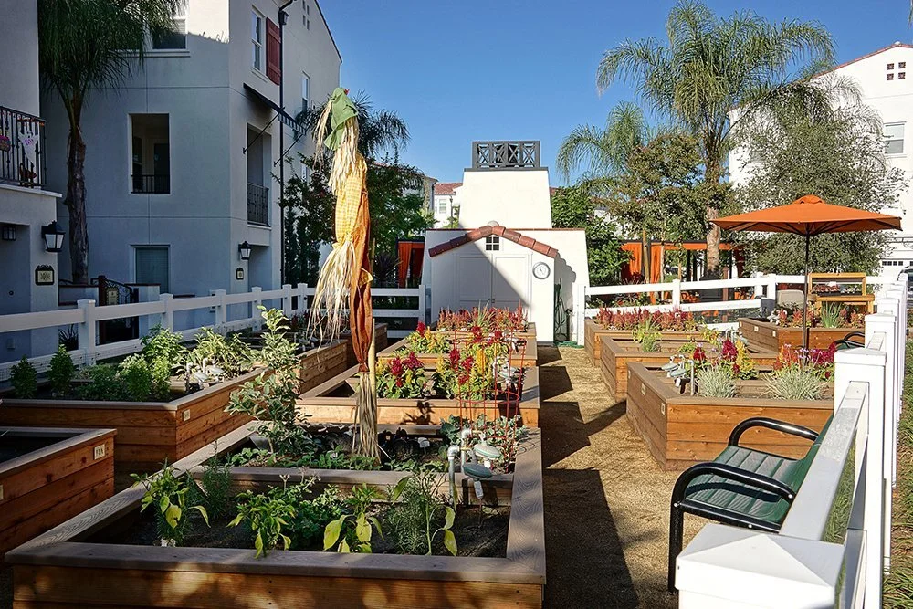 Community_garden.jpg
