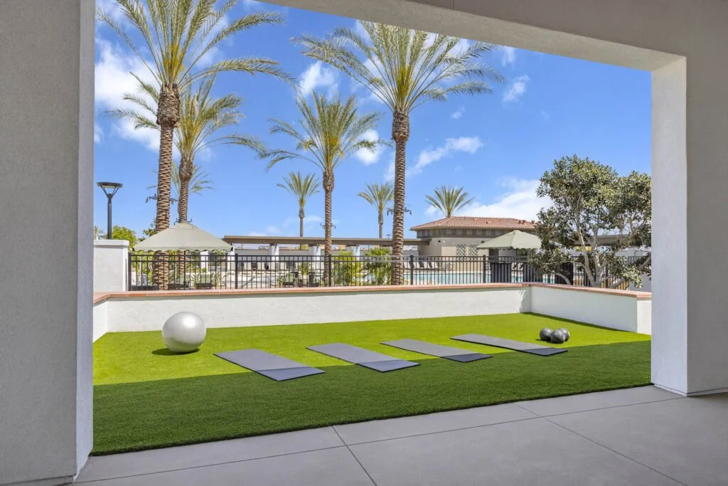 Daytime Turf Area.jpg