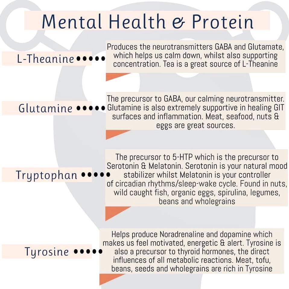 Our mental health heavily depends upon the amount and quality of protein we attain through our diet. These are 4 key amino acids that must be balanced in adequate levels to stabilise our mental health. 
-
Mental health issues are sadly on the rise an