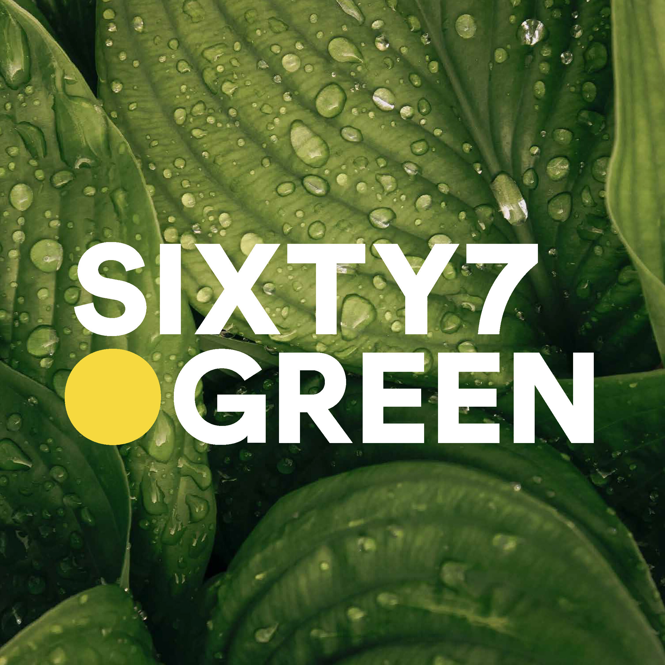 Sixty7.Green Launches On World Earth Day.