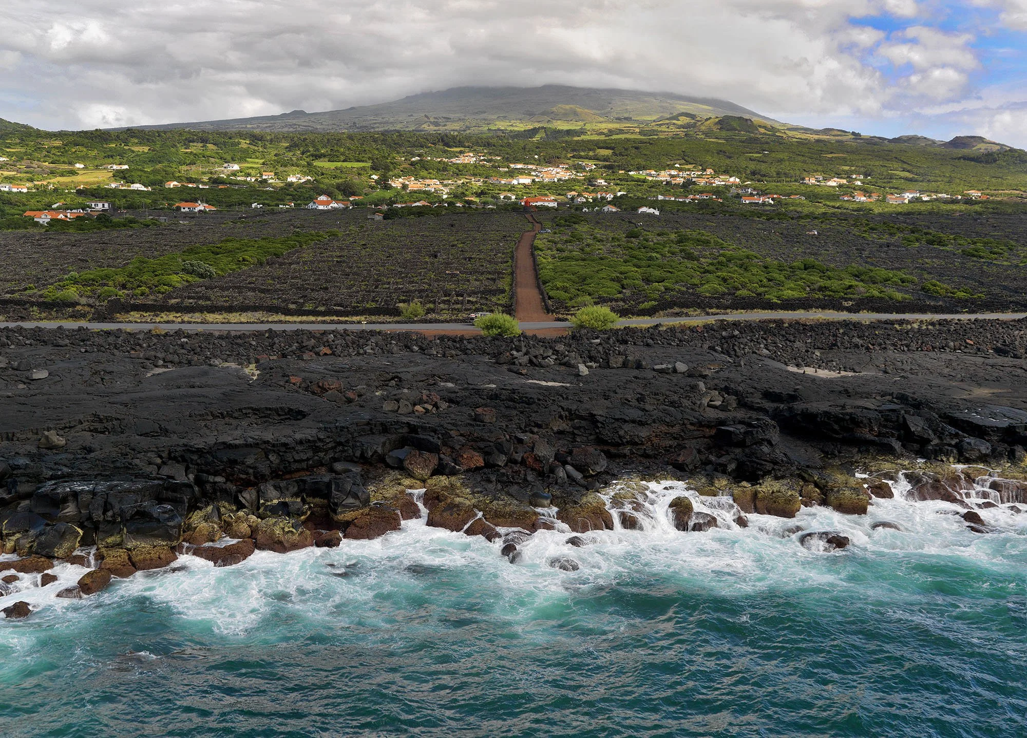 Picowines Aerial with vines and ocean.jpg