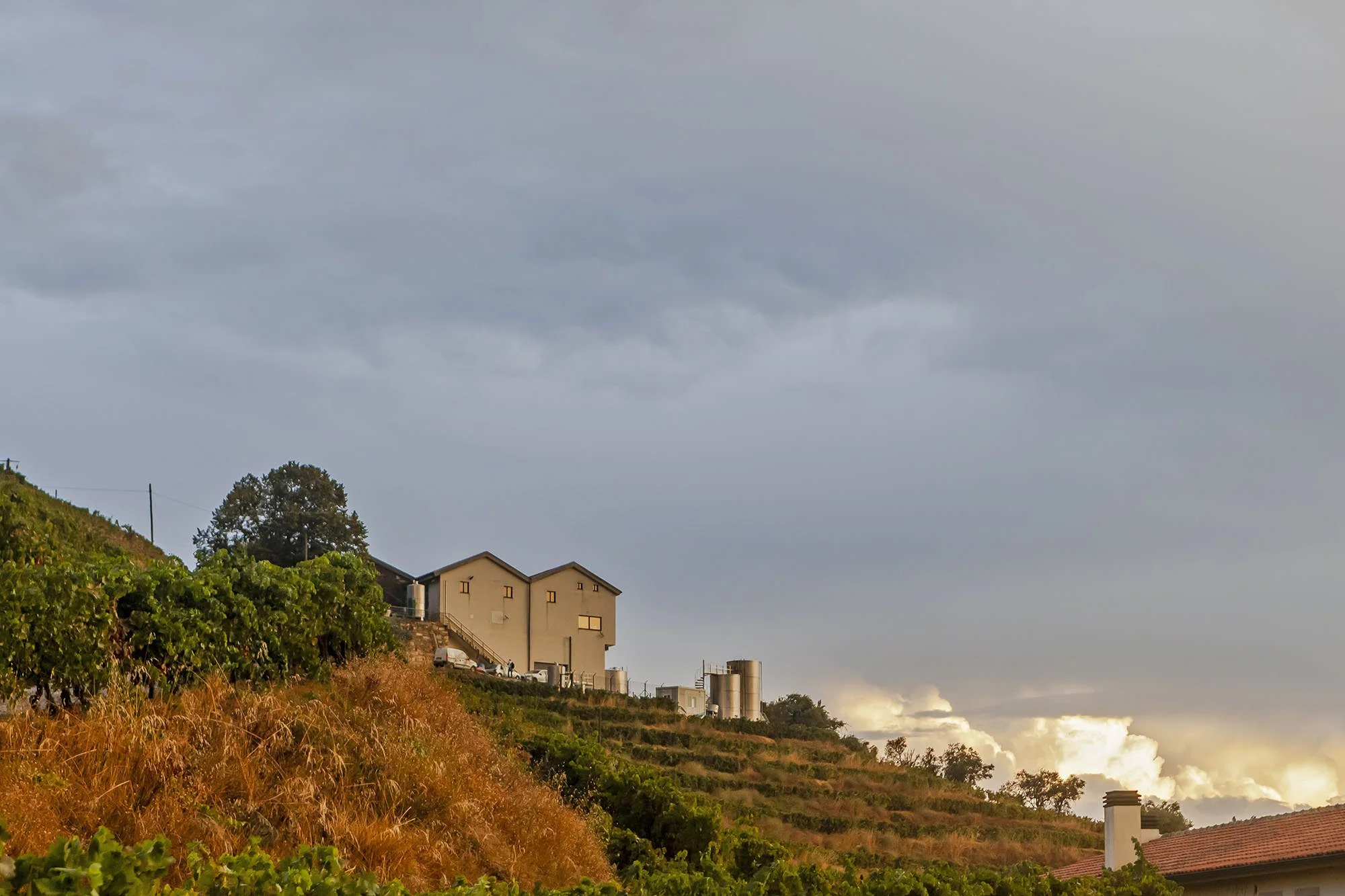 Quinta da Pedra Alta Winery from Low Angle.jpg