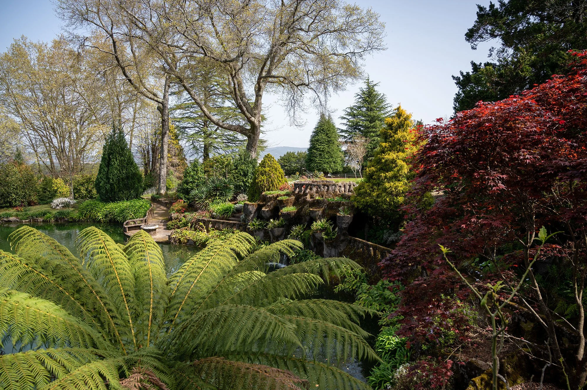 Quinta de Curvos Botanical Garden Overview.jpg