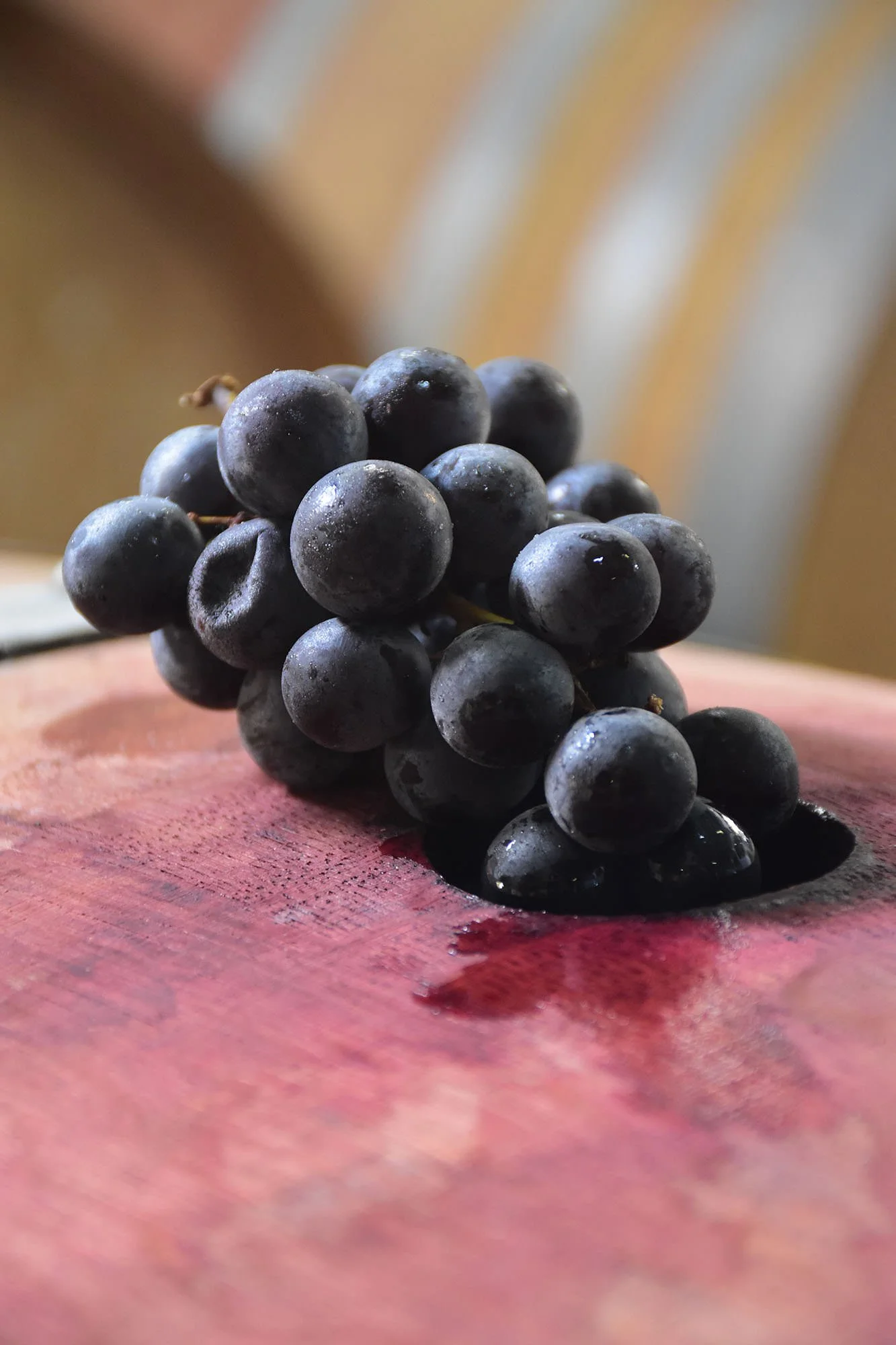 Picowines Red Grapes.JPG