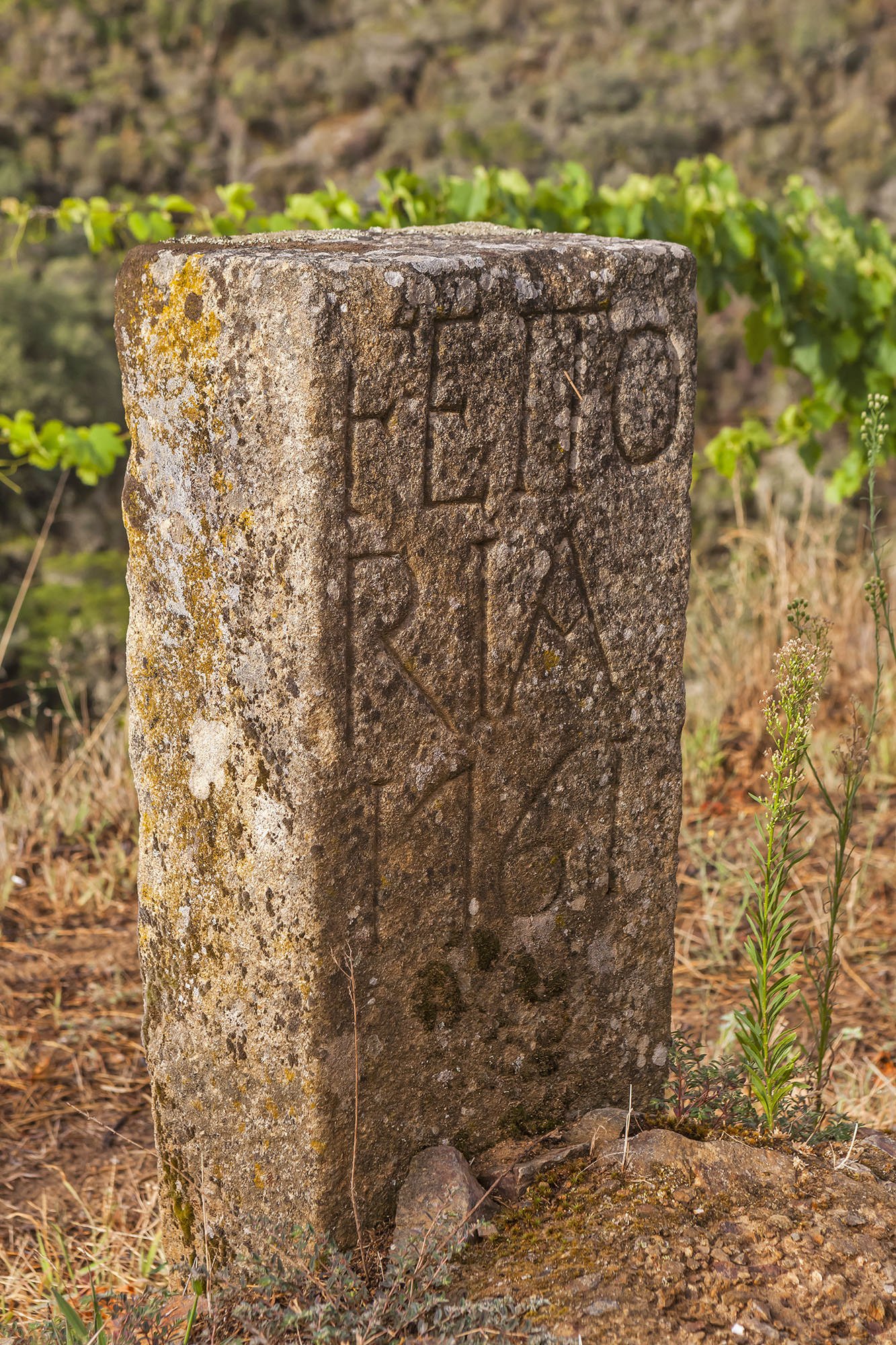 Quinta da Pedra Alta Pombalino.jpg
