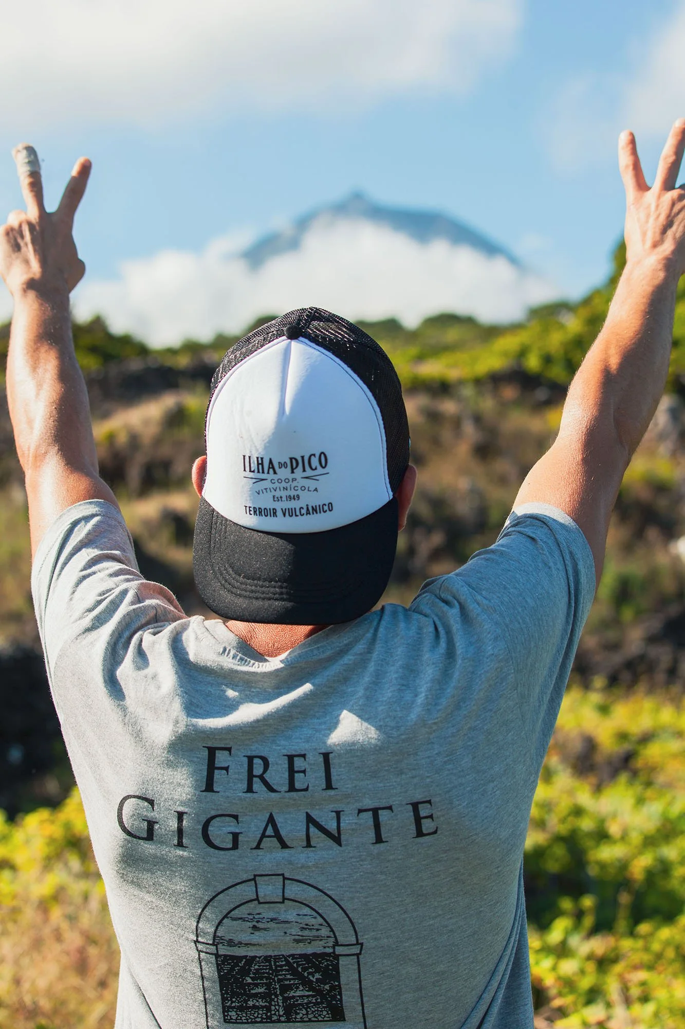 Picowines Harvester with Hands in Air .jpg