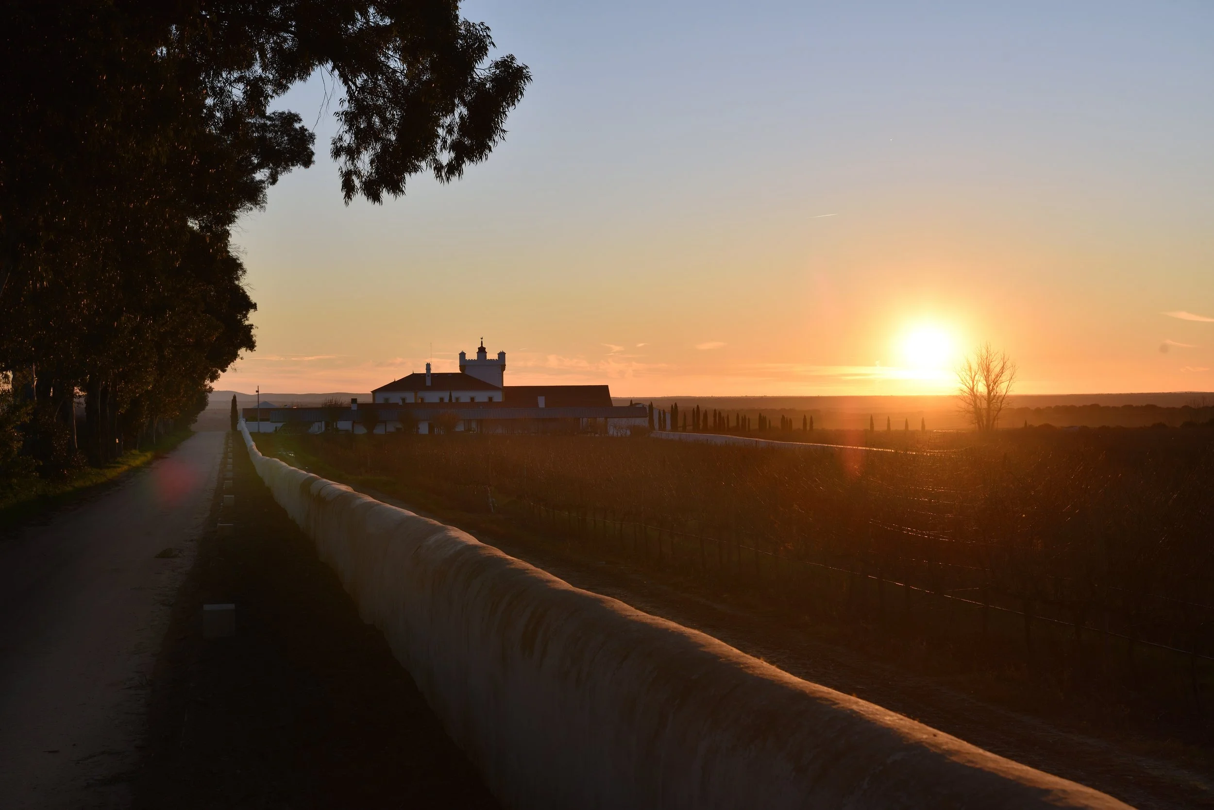 Torre de Palma sunset from private road.jpg