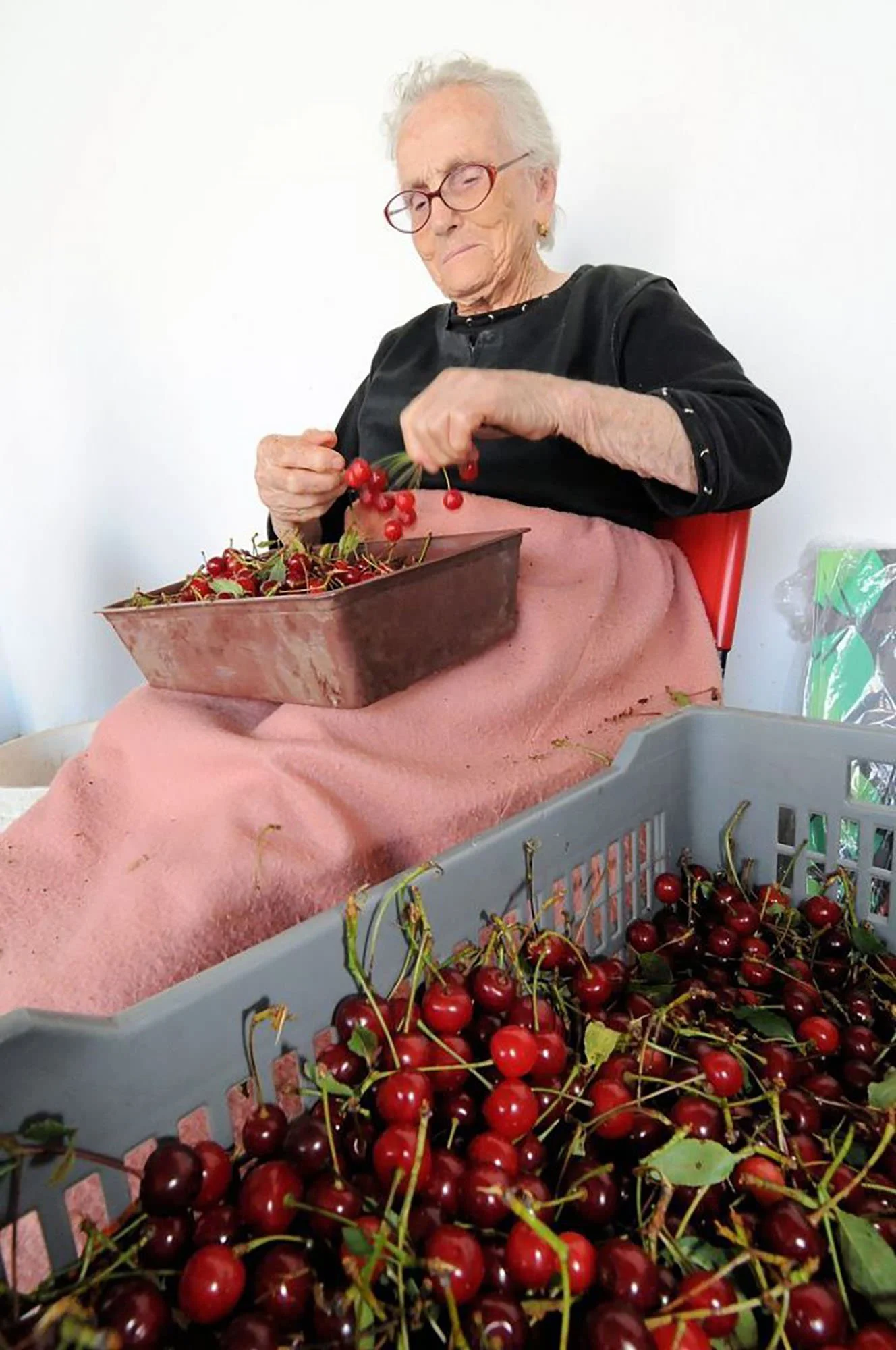 Oppidum Woman Sorting Cherries 2.jpeg