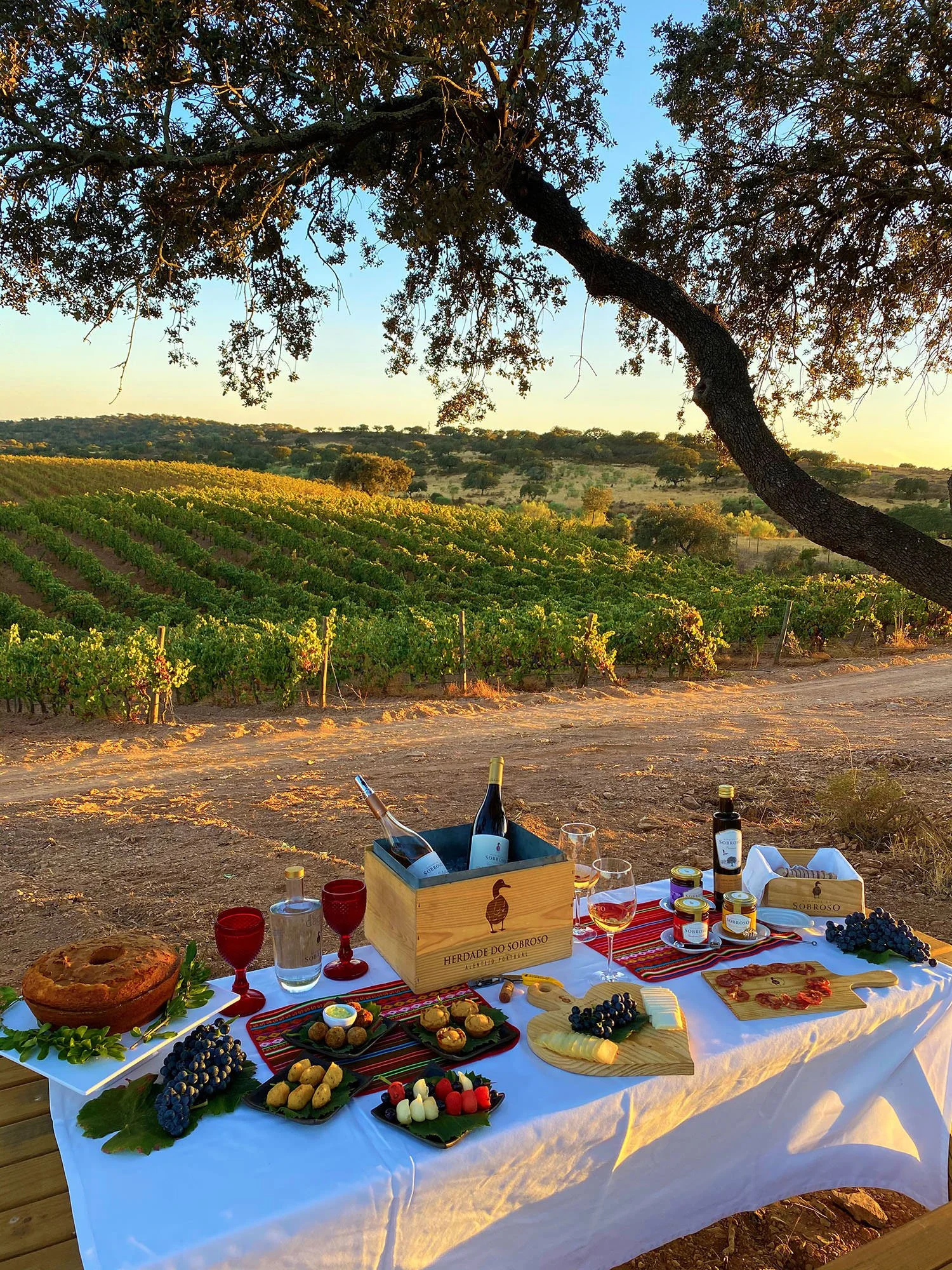 Herdade do Sobroso Picnic by Vineyards.JPG