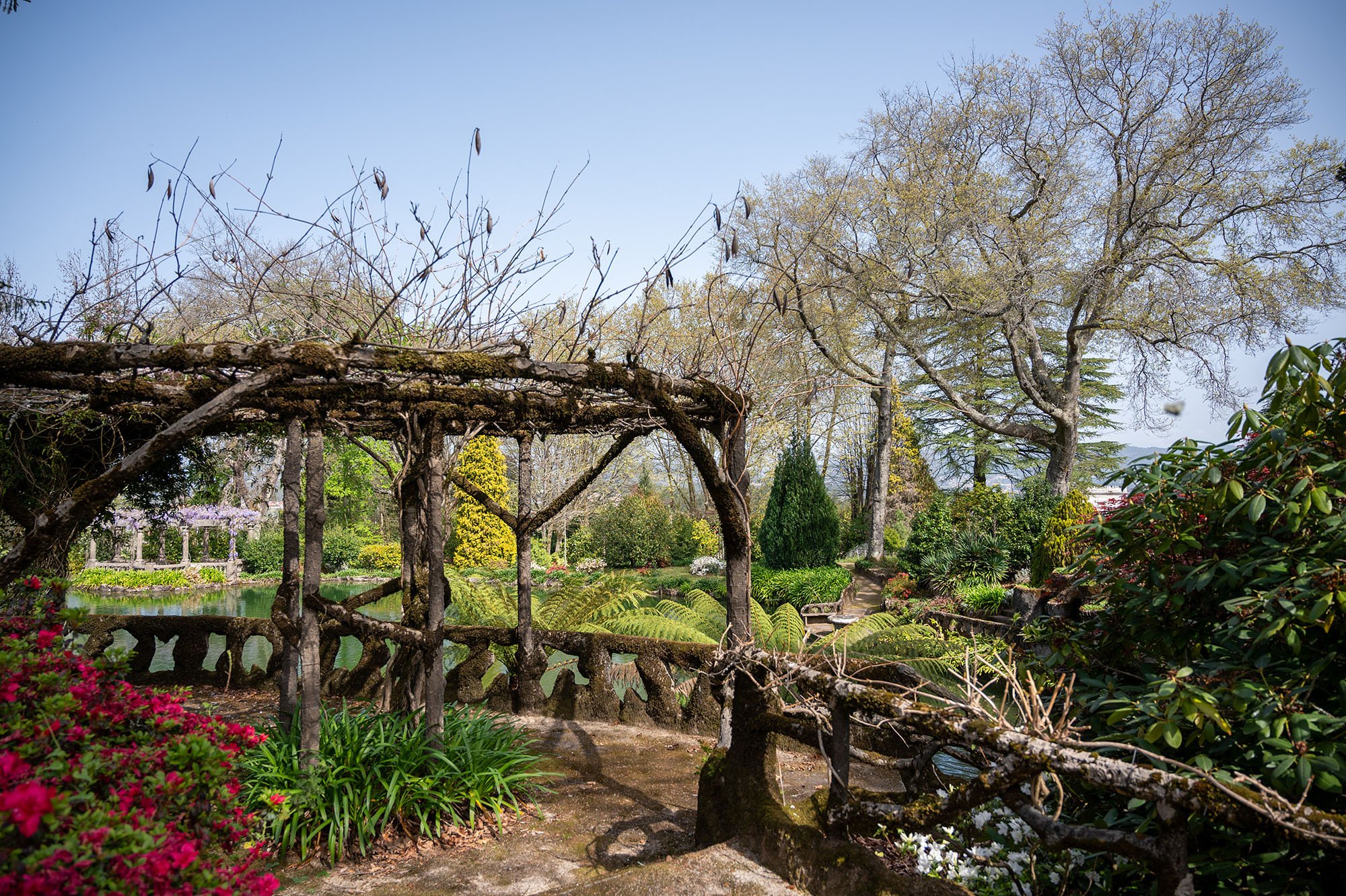 Quinta de Curvos Botanical Garden Wide View.jpg