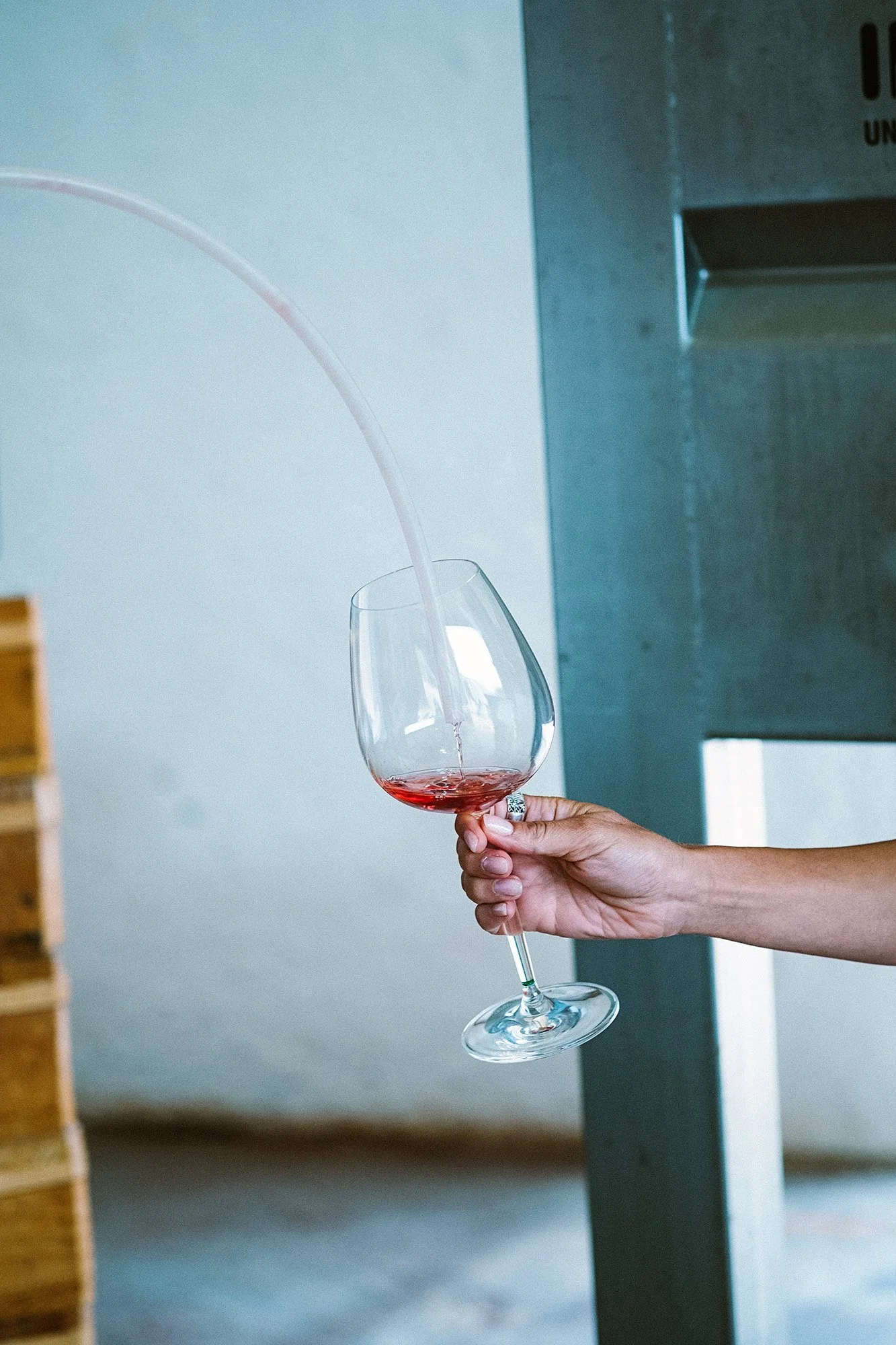 Defio Clarete Tasting.JPEG