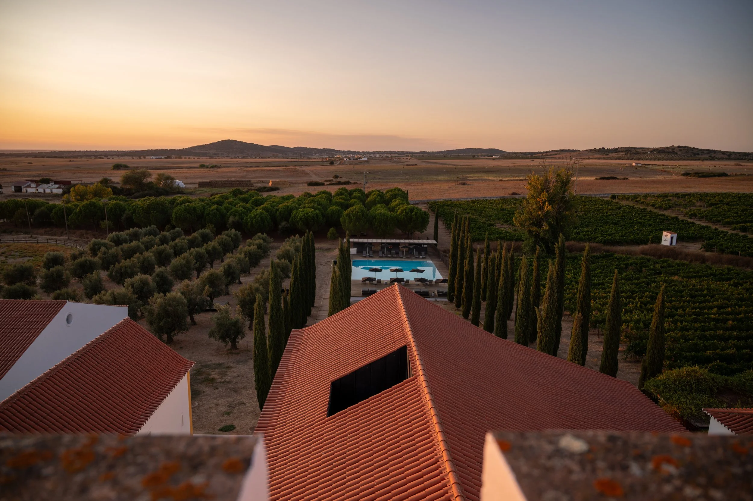 Torre de Palma Overhead of pool at sunset.jpg