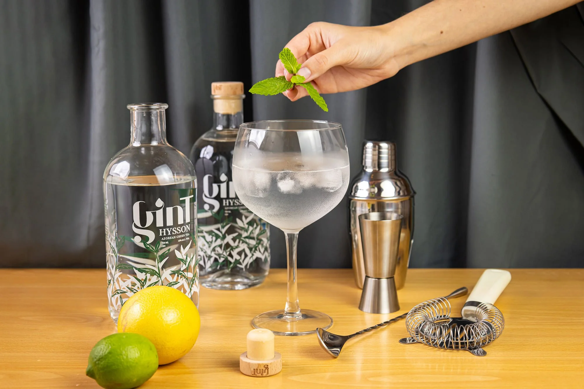 GinT Hysson gin and tonic with lemon lime and peppermint sprig