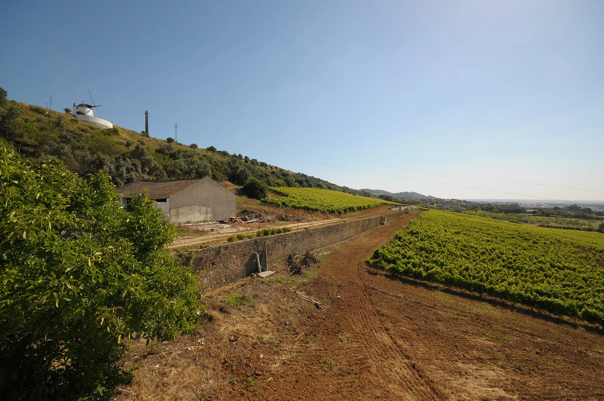 Quinta do Piloto Wide Overview of Vineyards.JPG