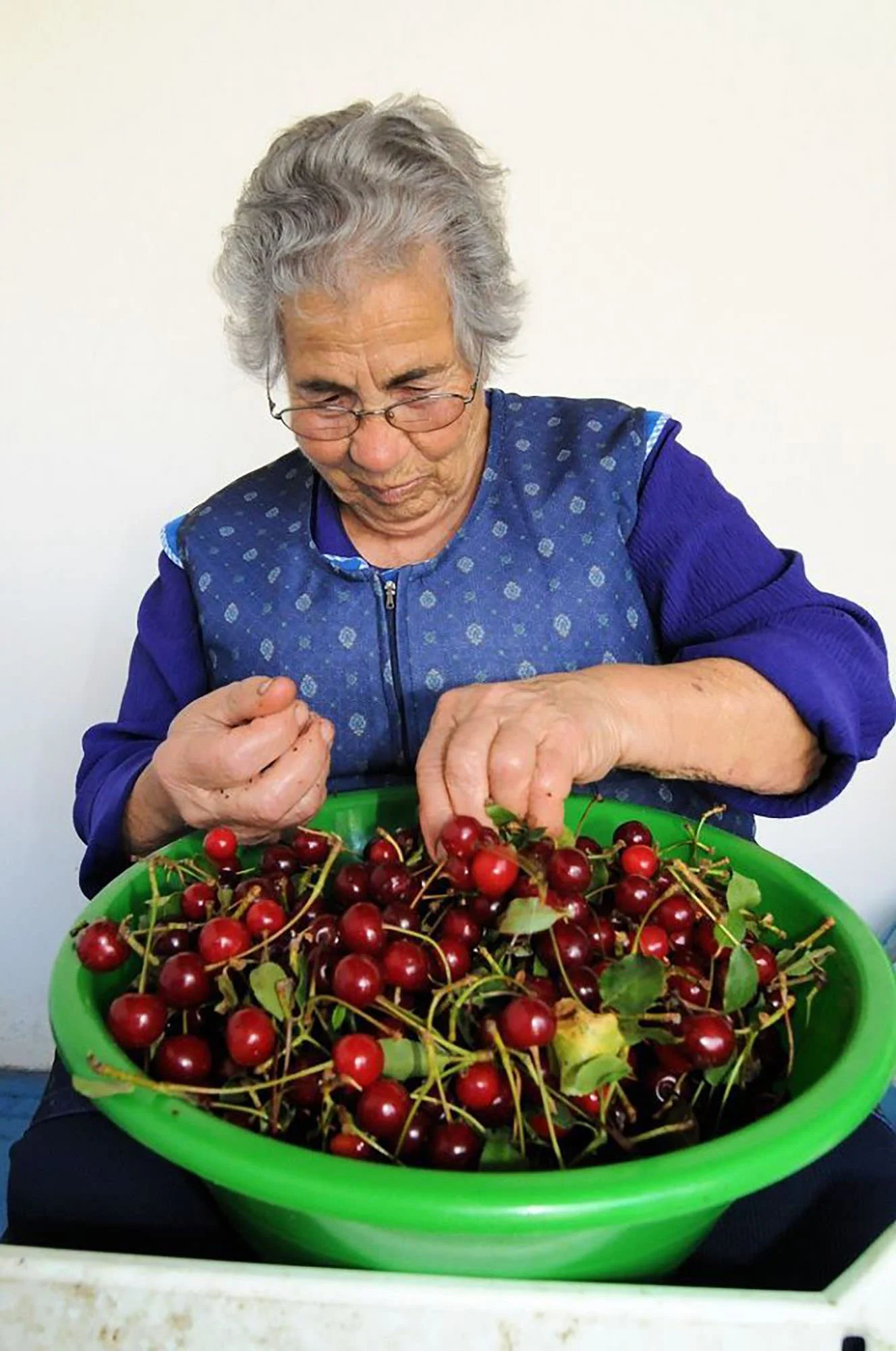 Oppidum Women Sorting Cherries.jpeg