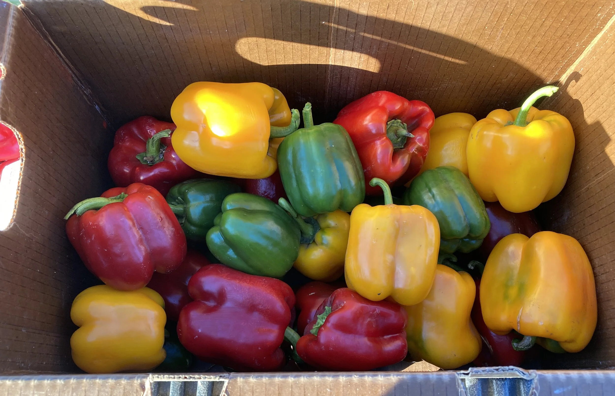 Products — Berry Island Farms