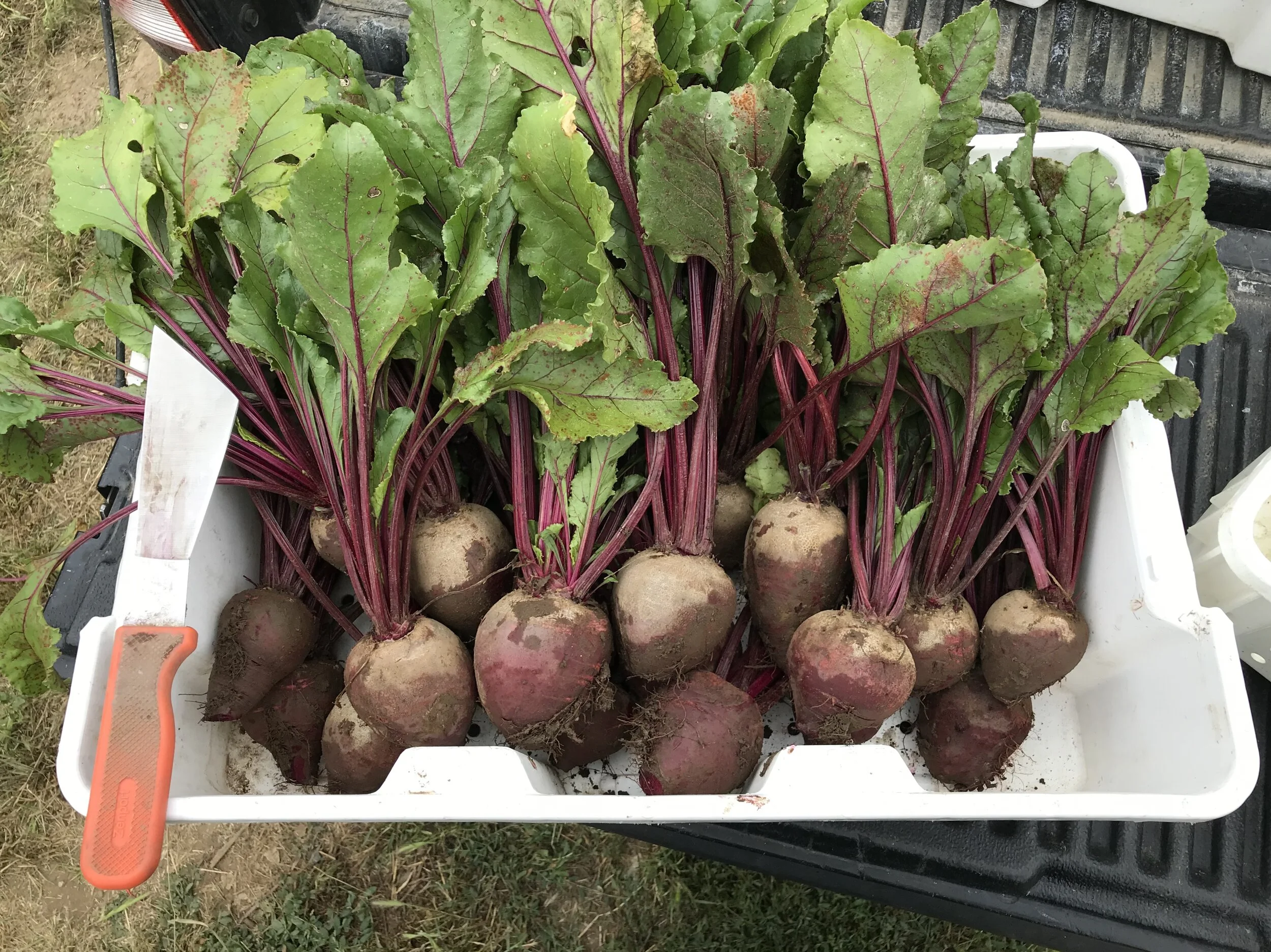 Products — Berry Island Farms